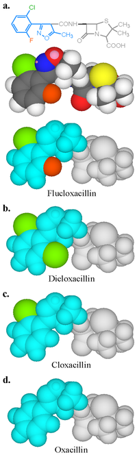 Antibodies 03 00056 g006 200