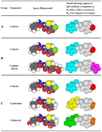 Antibodies 03 00056 g007 200