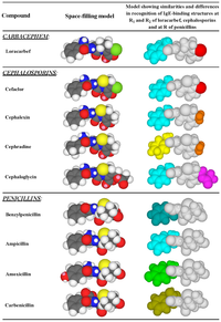 Antibodies 03 00056 g008 200