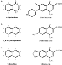 Antibodies 03 00056 g019 200
