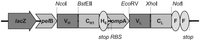 Antibodies 03 00215 g004 200