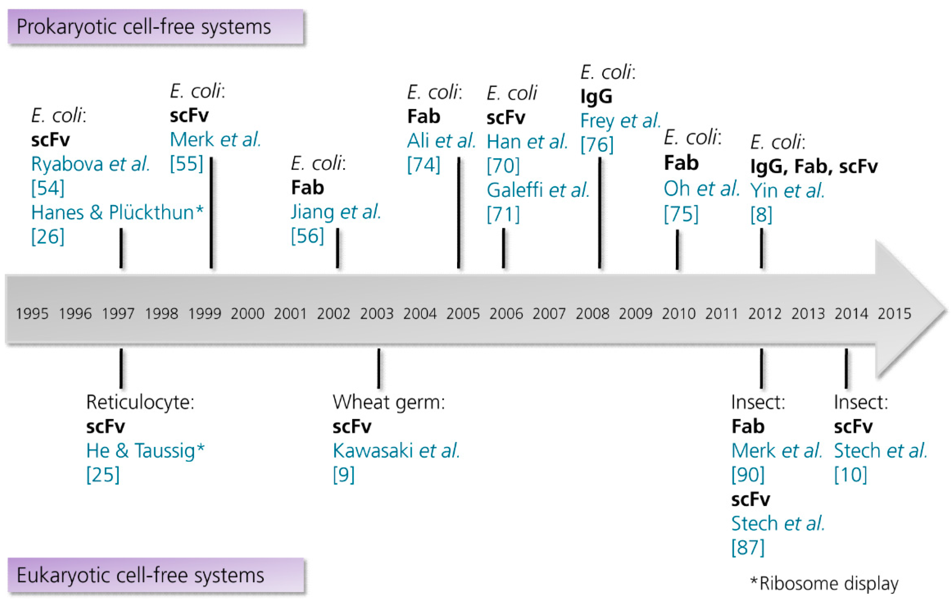 antibody production