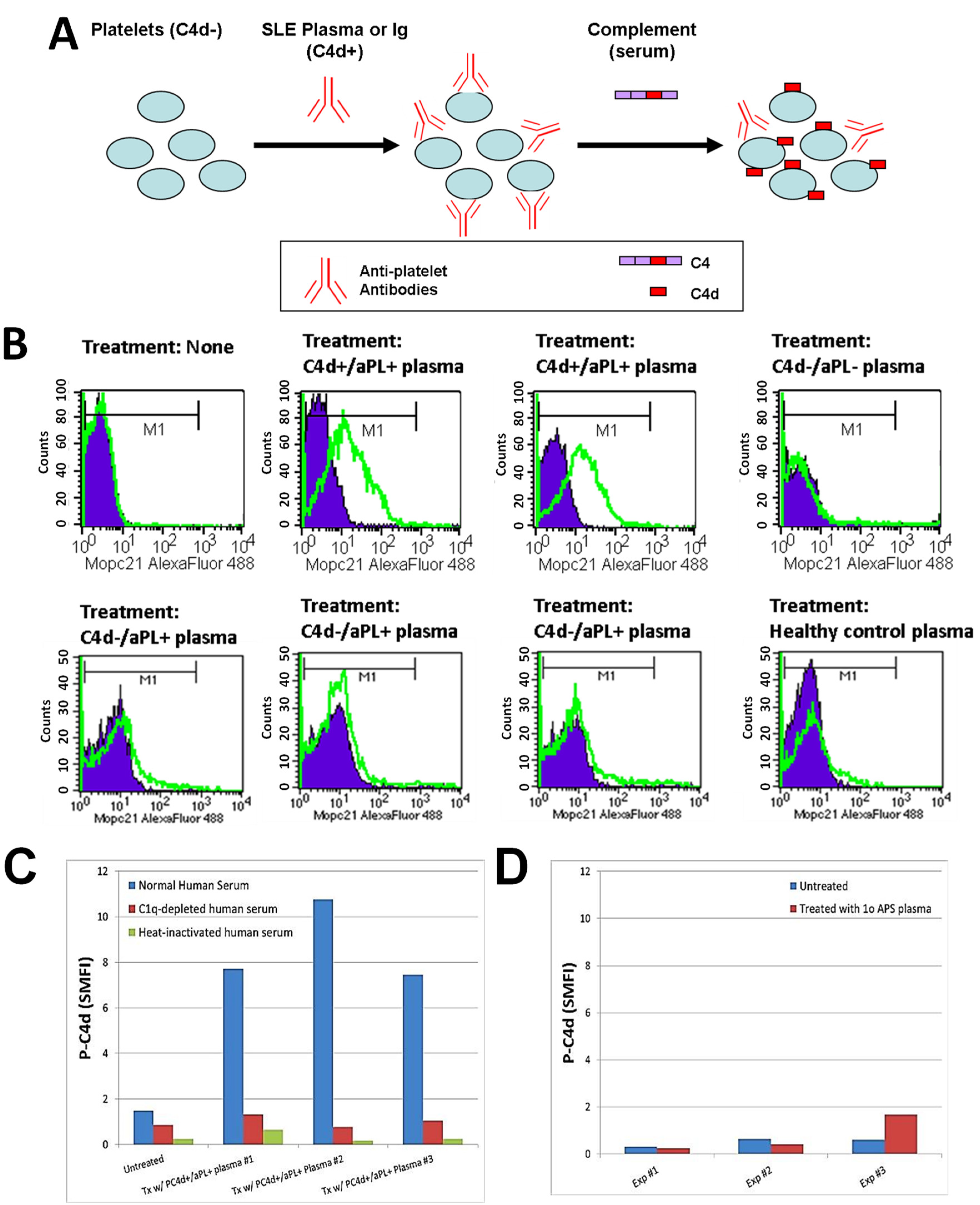 sle reports for transcription transcription sle reports 28 images 100 transcription sle reports for transcription transcription sle reports 28 images 100 transcription