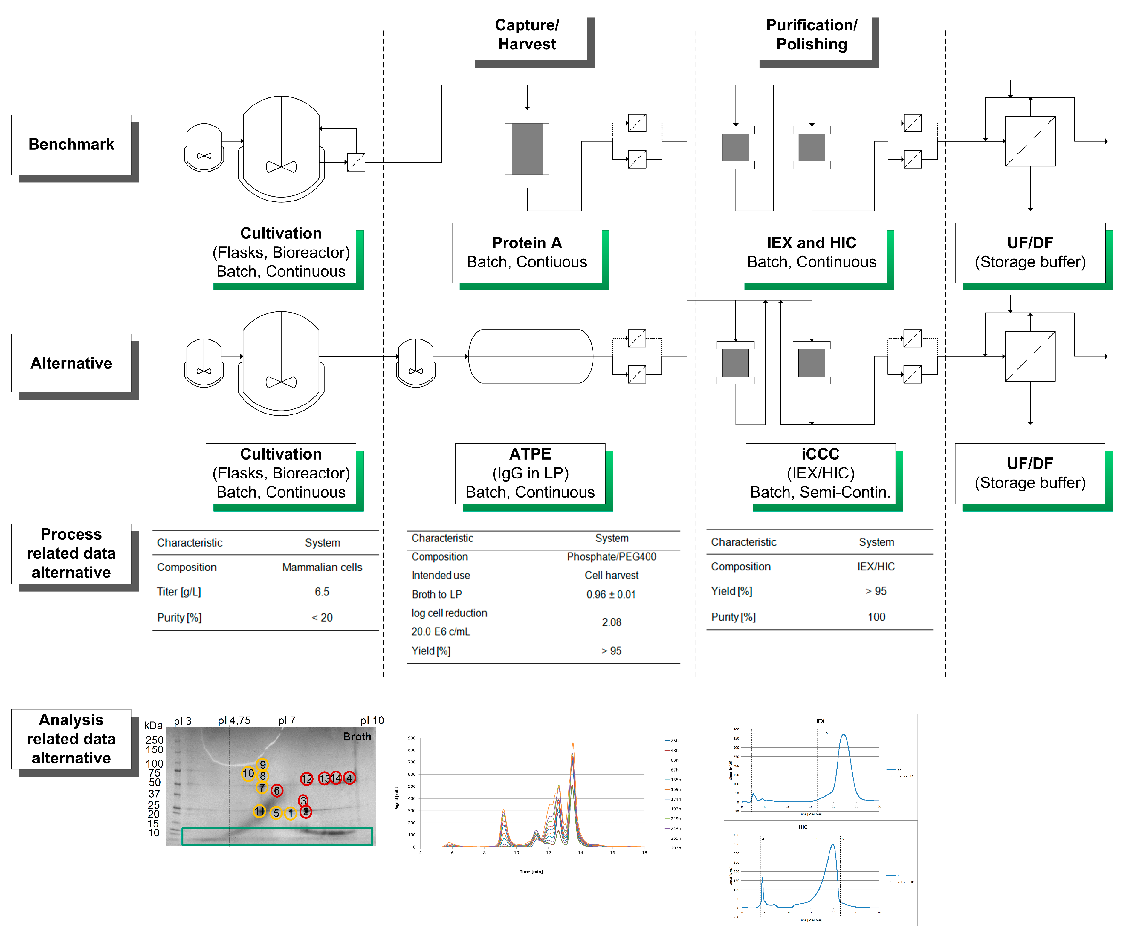 biologics manufacturing