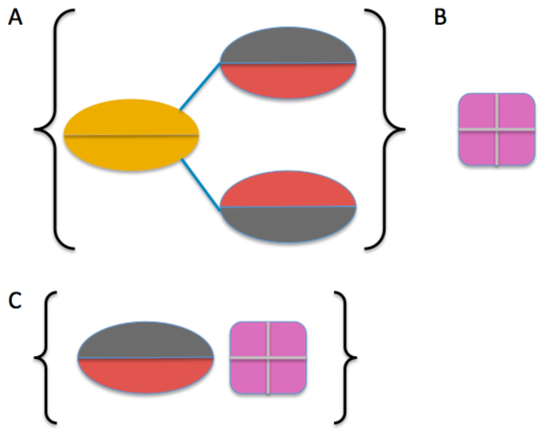 Antibodies 06 00025 g009a