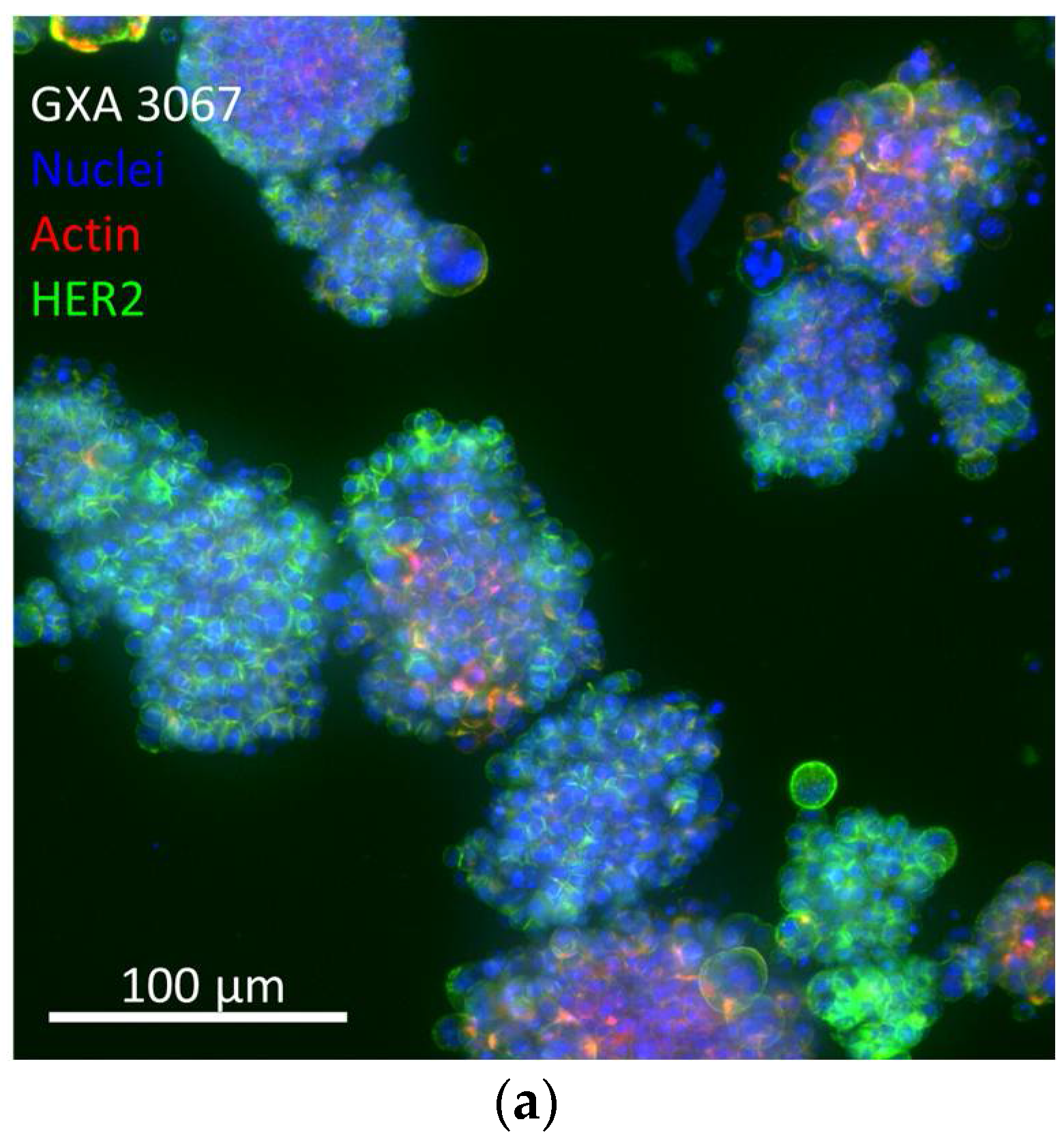 Antibodies 07 00015 g005a