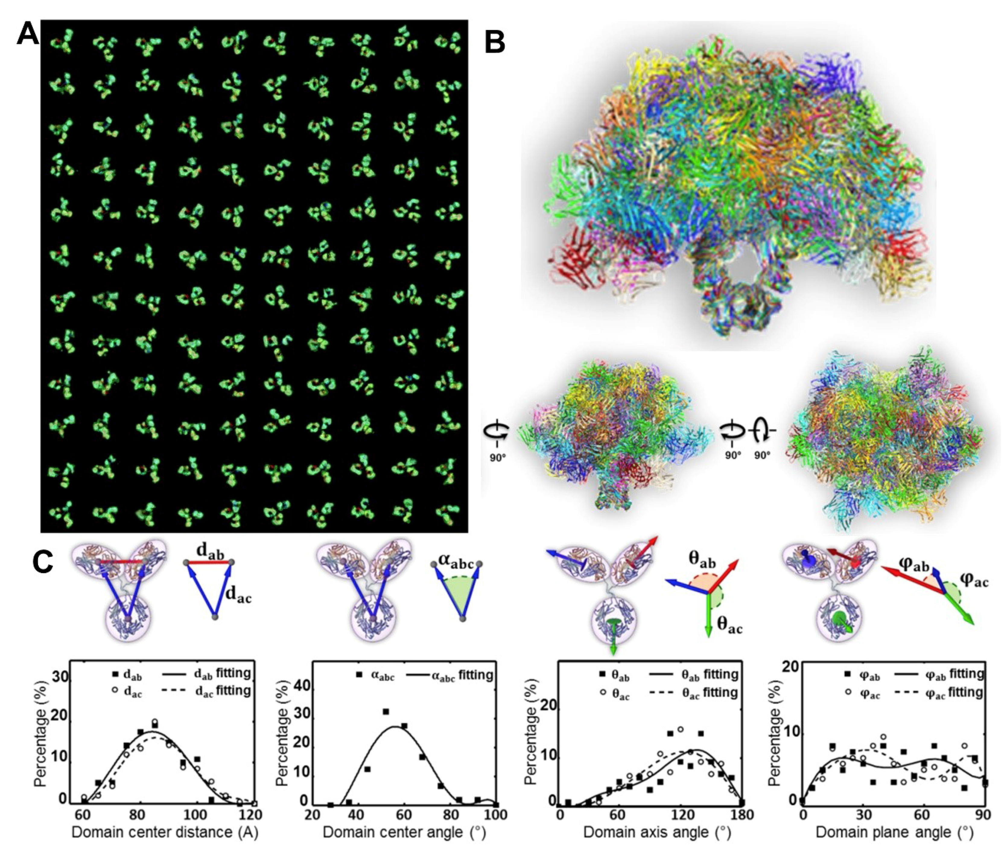 Antibodies 07 00018 g005