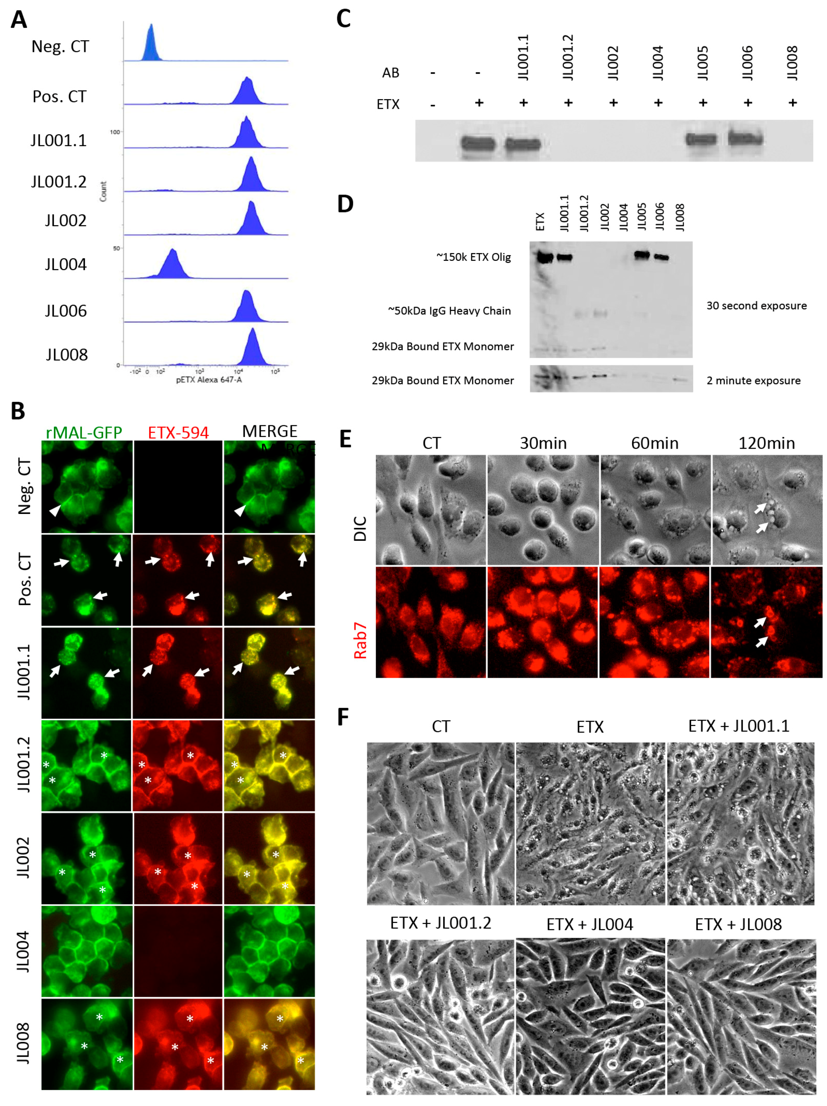 Antibodies 07 00037 g008 Antibodies 07 00037 g008