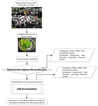 Antioxidants 01 00004 g001 200