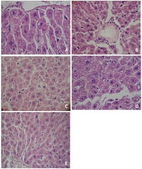 Antioxidants 02 00100 g001 200