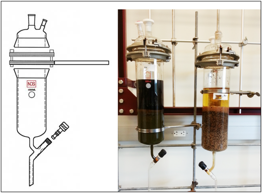 Antioxidants 02 00167 g001 1024