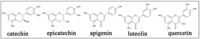 Antioxidants 02 00167 g008 200