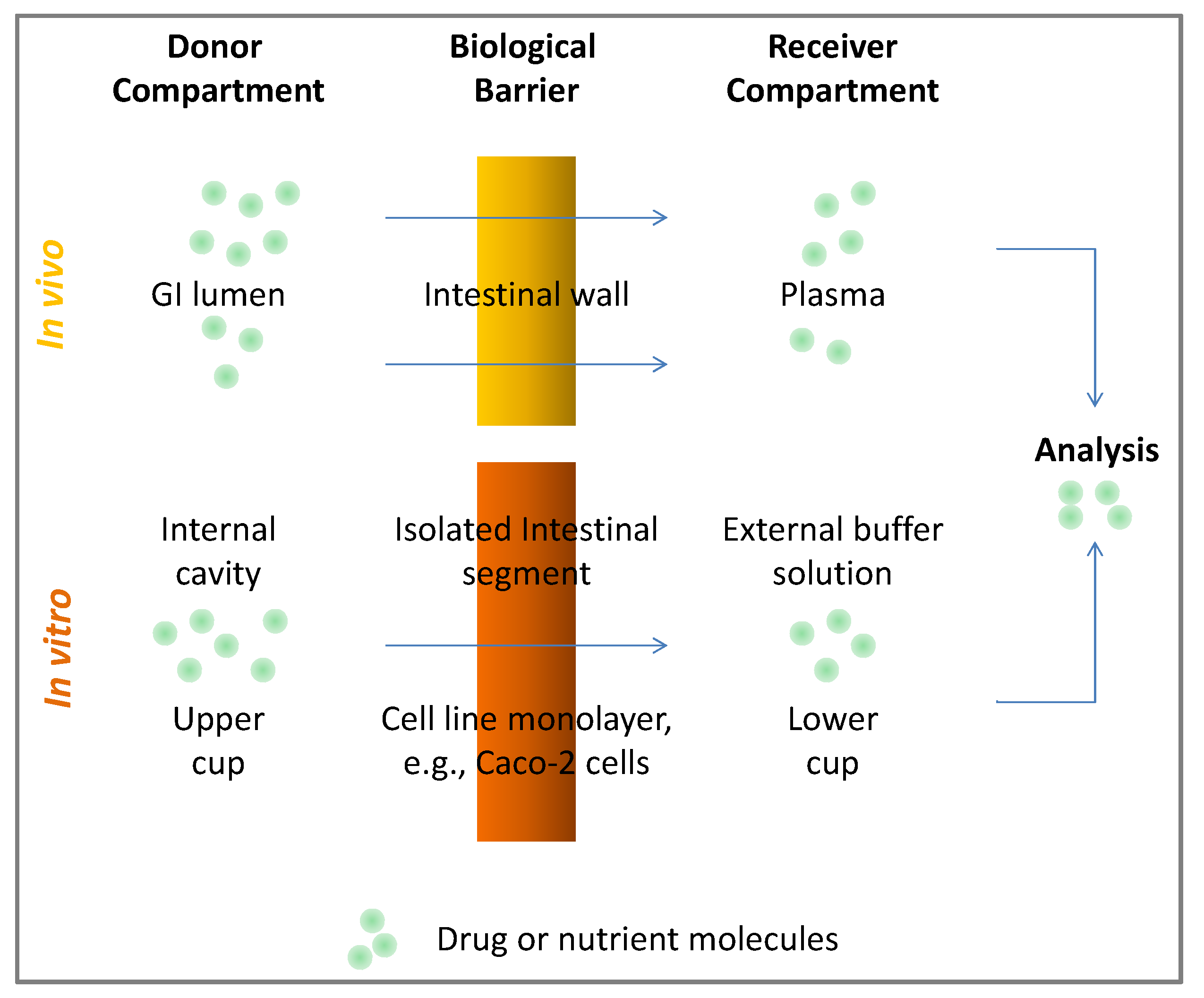 Antioxidants 02 00309 g002
