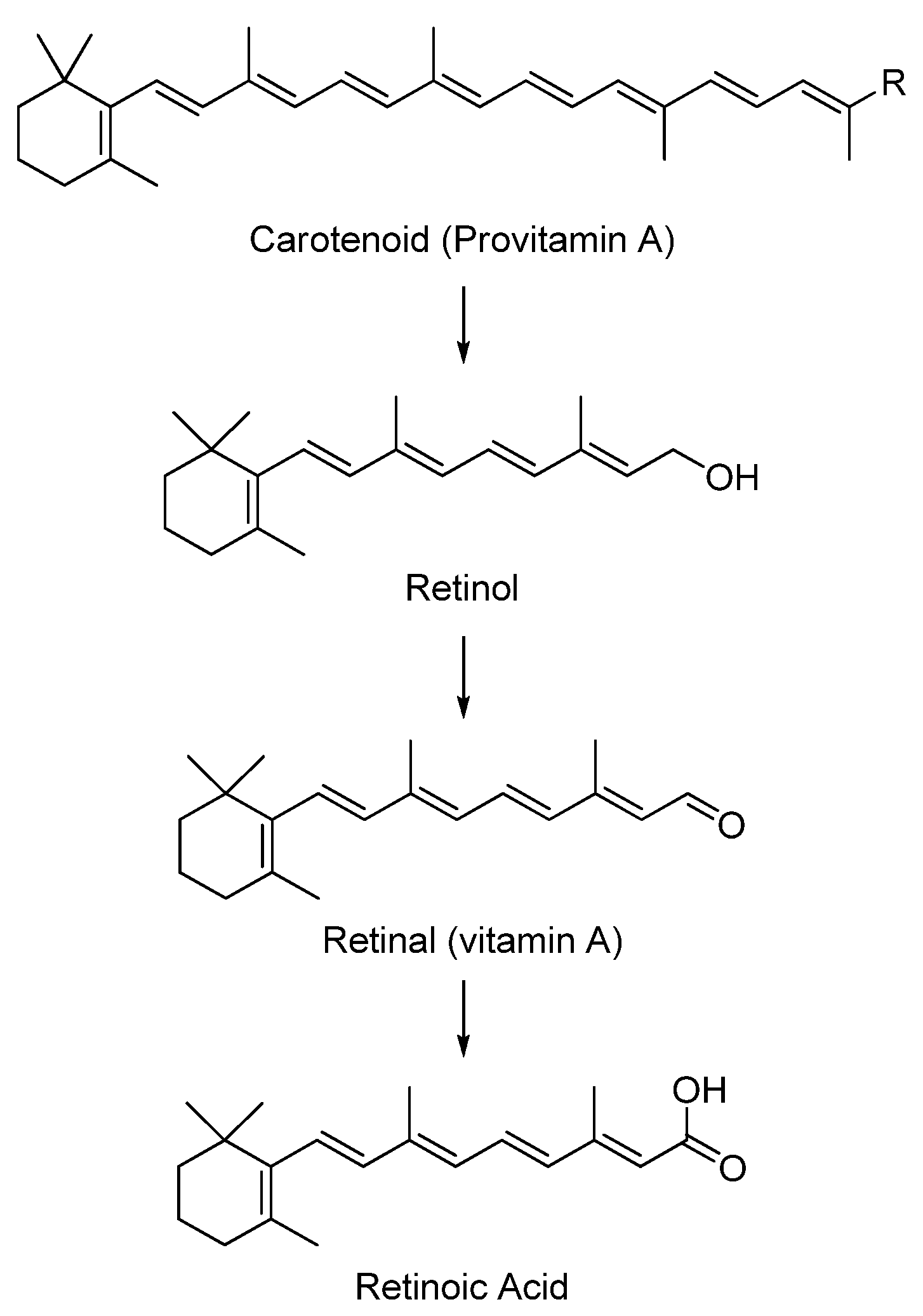 Antioxidants 02 00309 g003