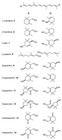 Antioxidants 02 00309 g004 200