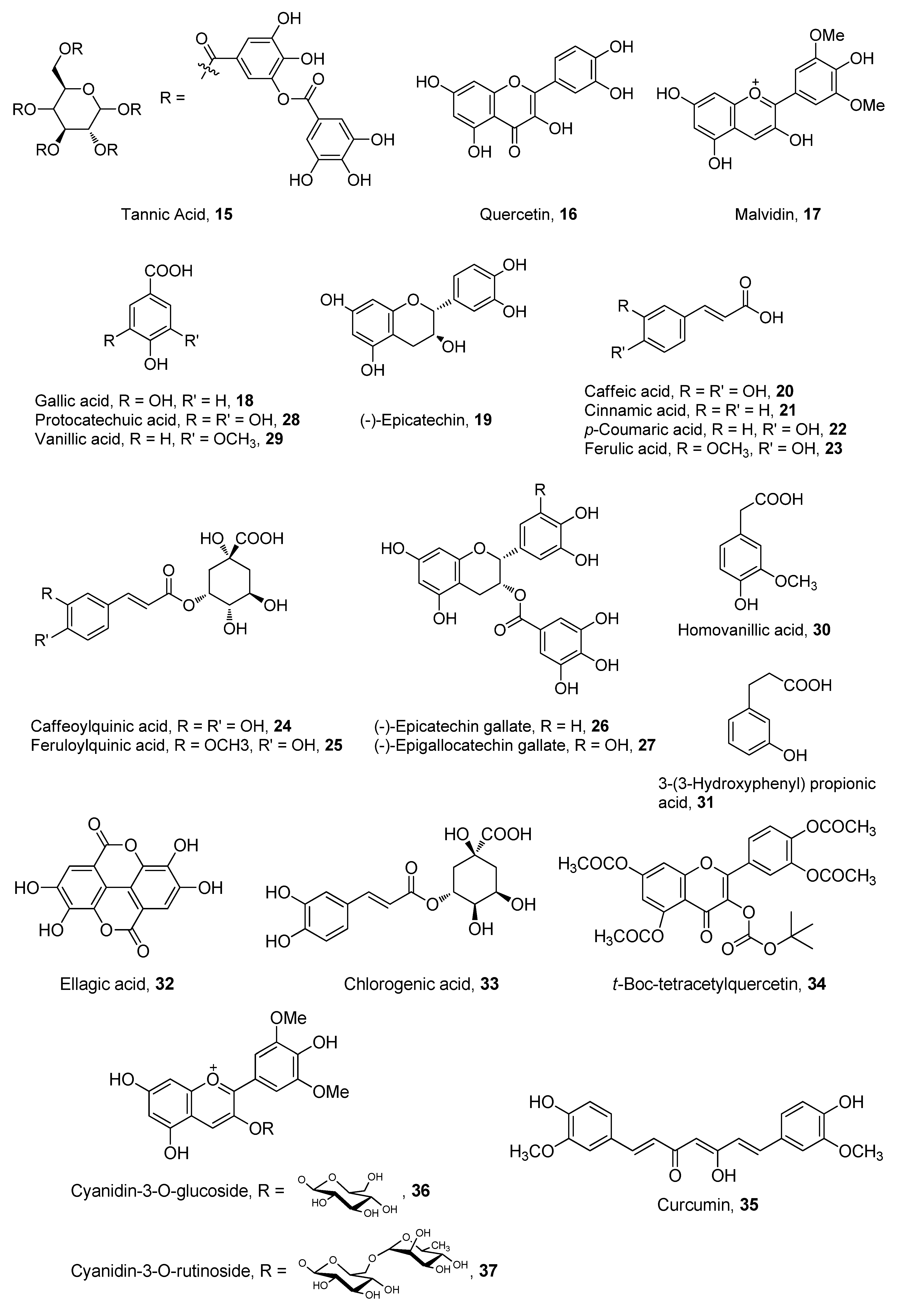 Antioxidants 02 00309 g005