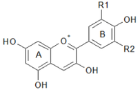 Antioxidants 02 00340 g006 200