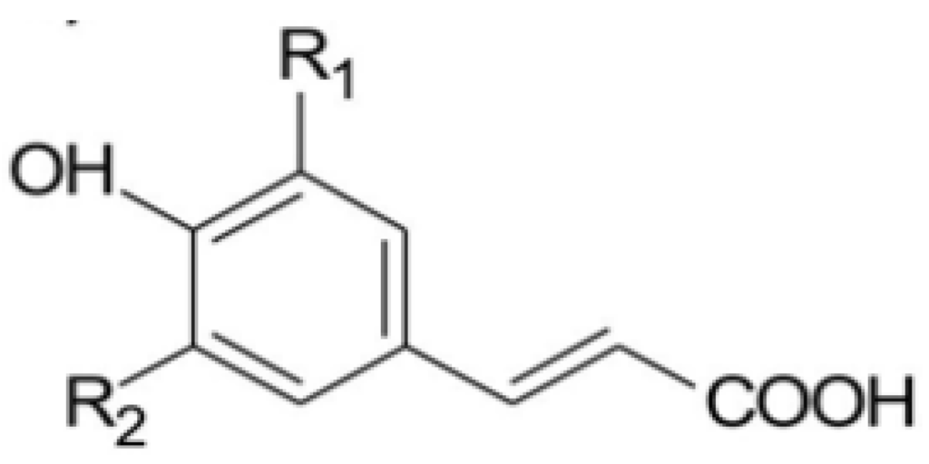 Antioxidants 03 00159 g001 1024