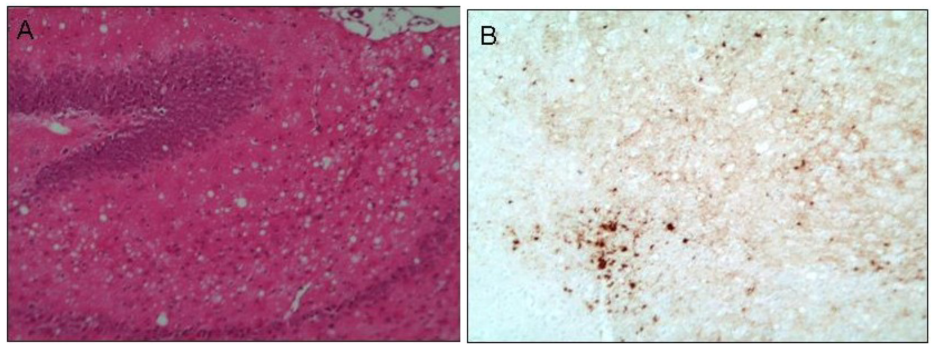 Antioxidants 03 00288 g001