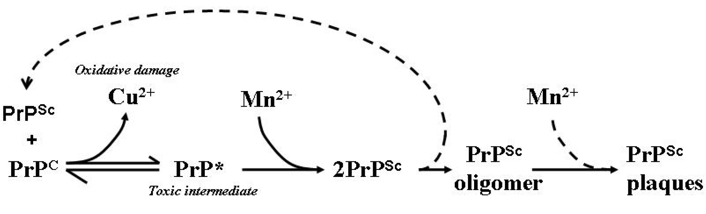 Antioxidants 03 00288 g003