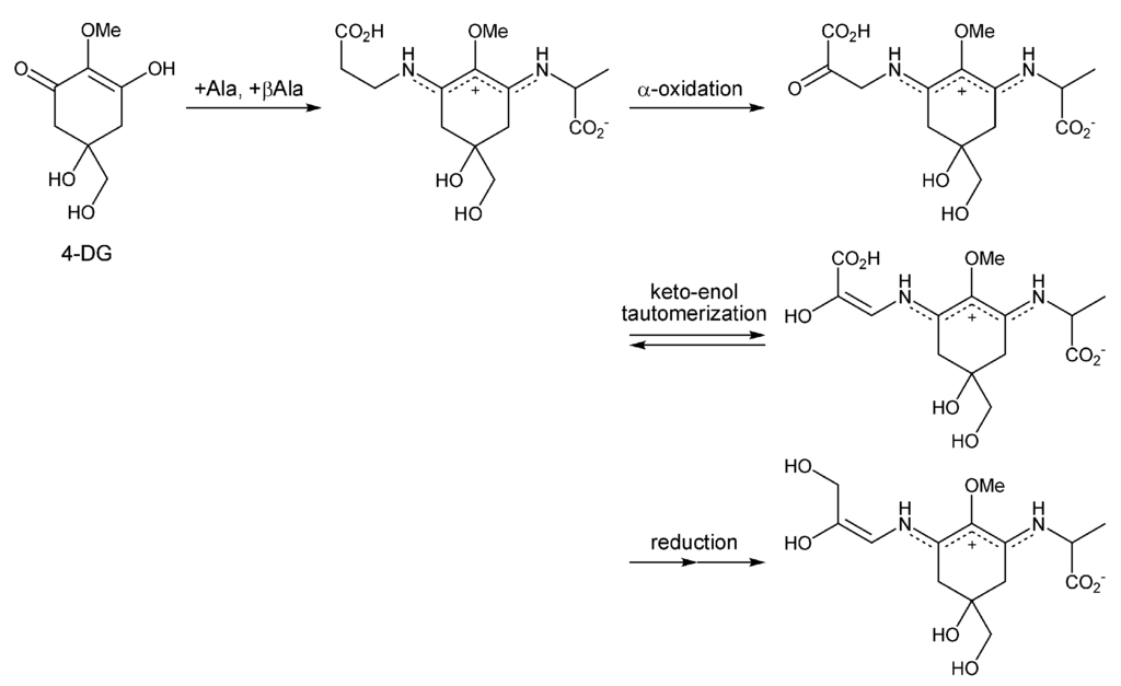 Antioxidants Free FullText MycosporineLike Amino Acids and Their