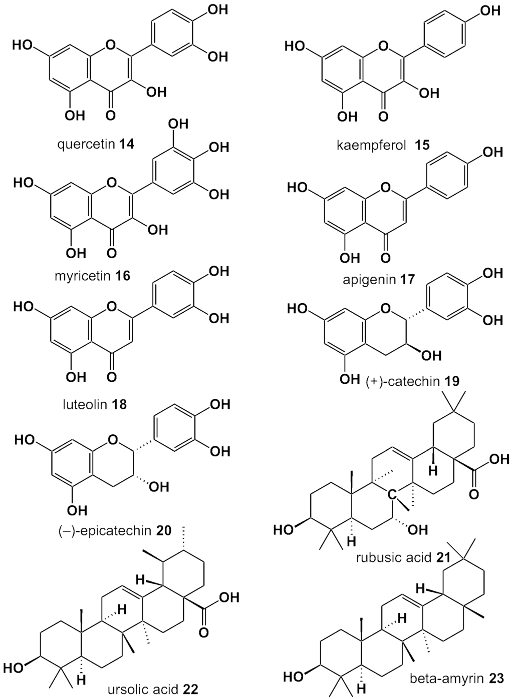 antioxidant thesis antioxidant thesis