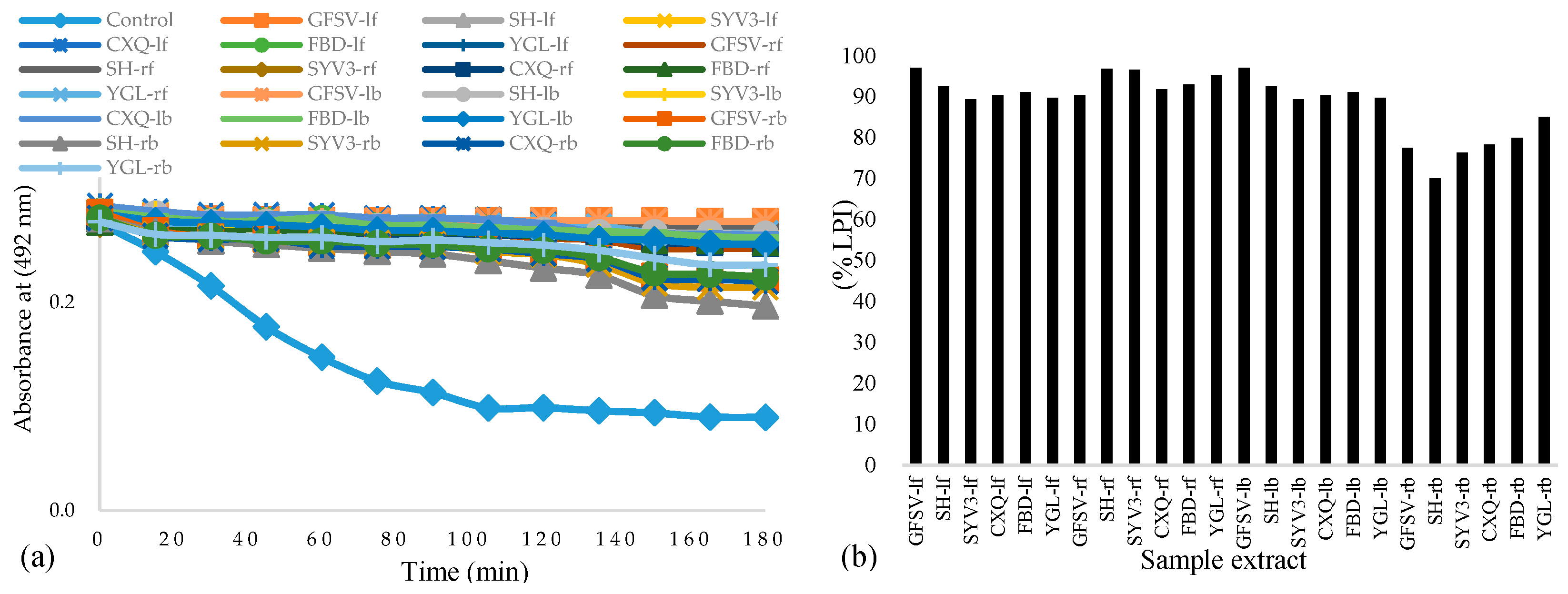 download Infrared Holography for