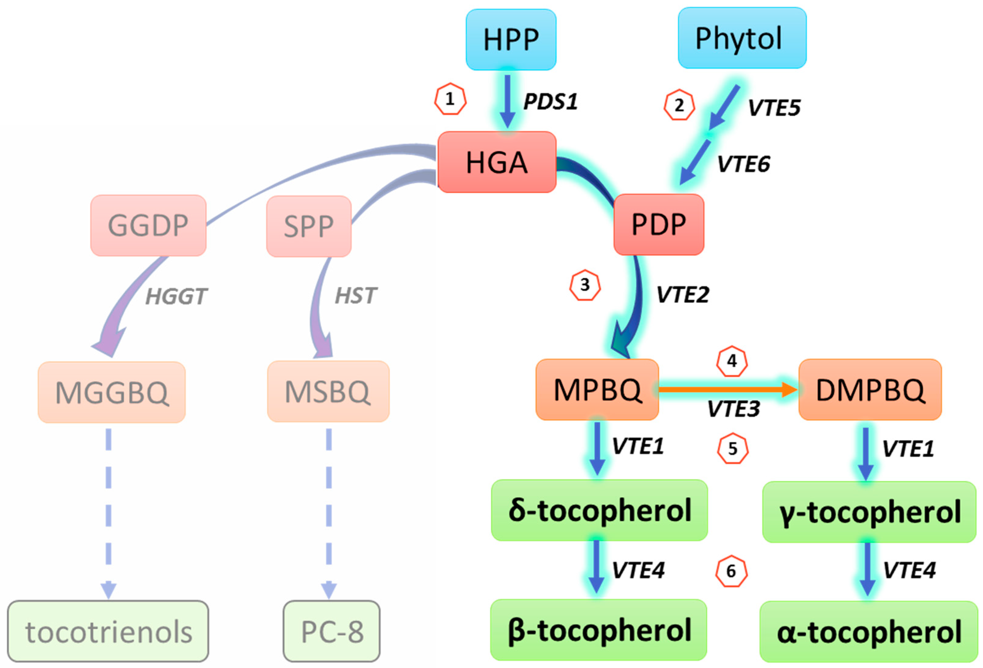 Antioxidants An Open Access Journal from MDPI