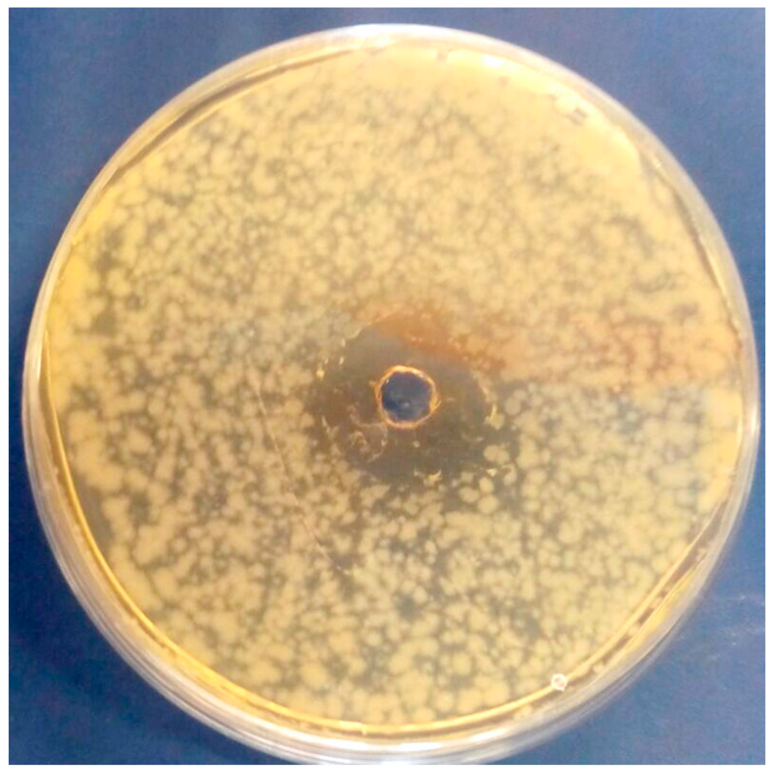 Antioxidants 08 00255 g003