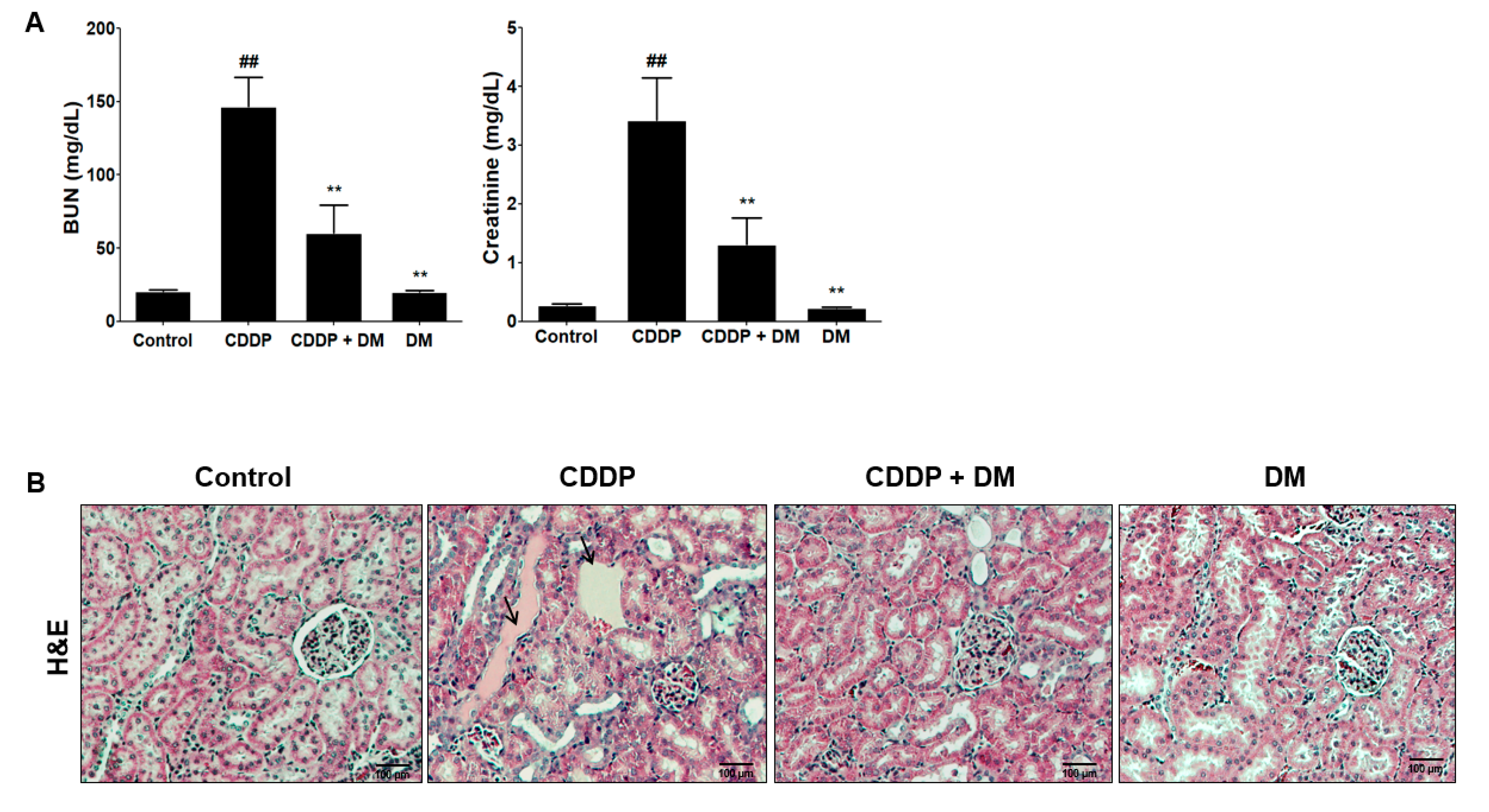 Antioxidants 08 00256 g004