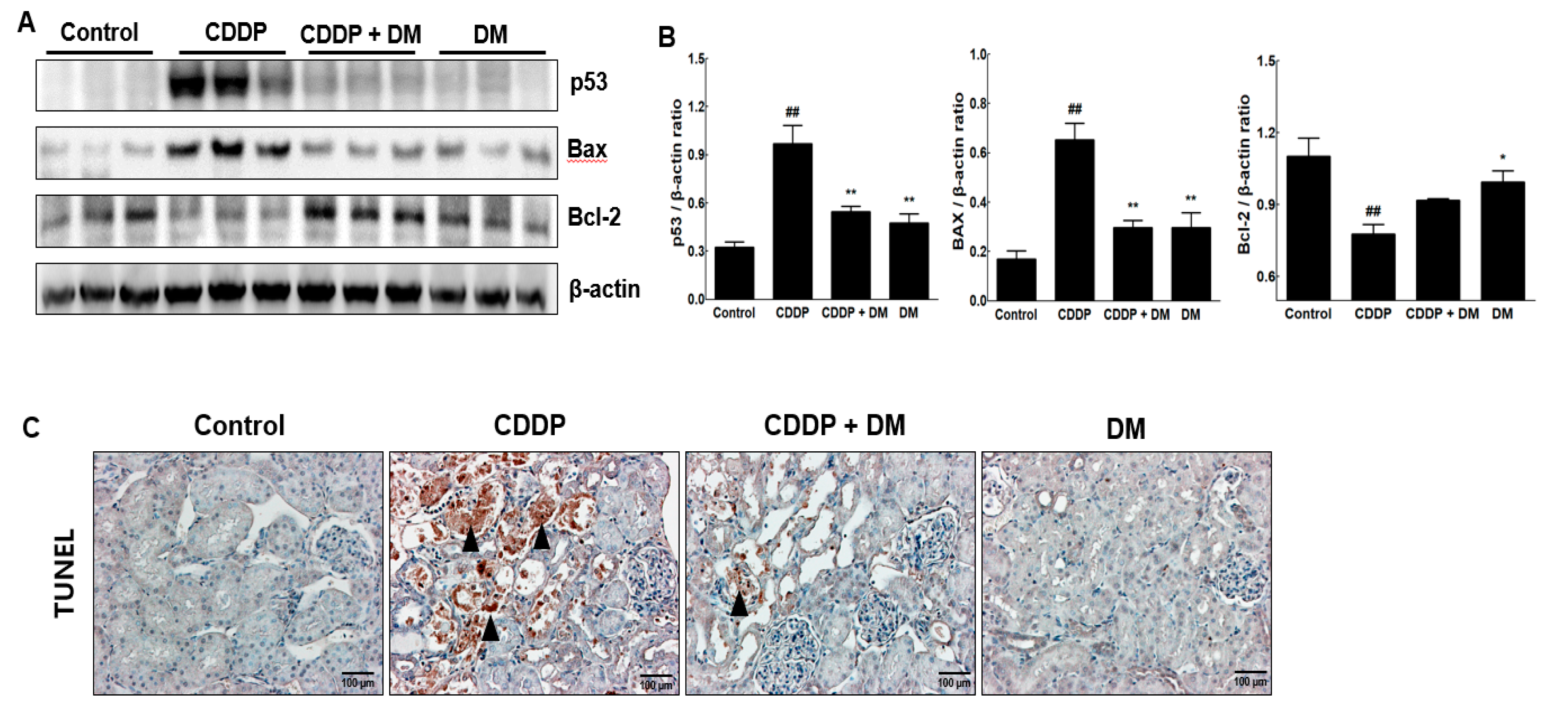 Antioxidants 08 00256 g007