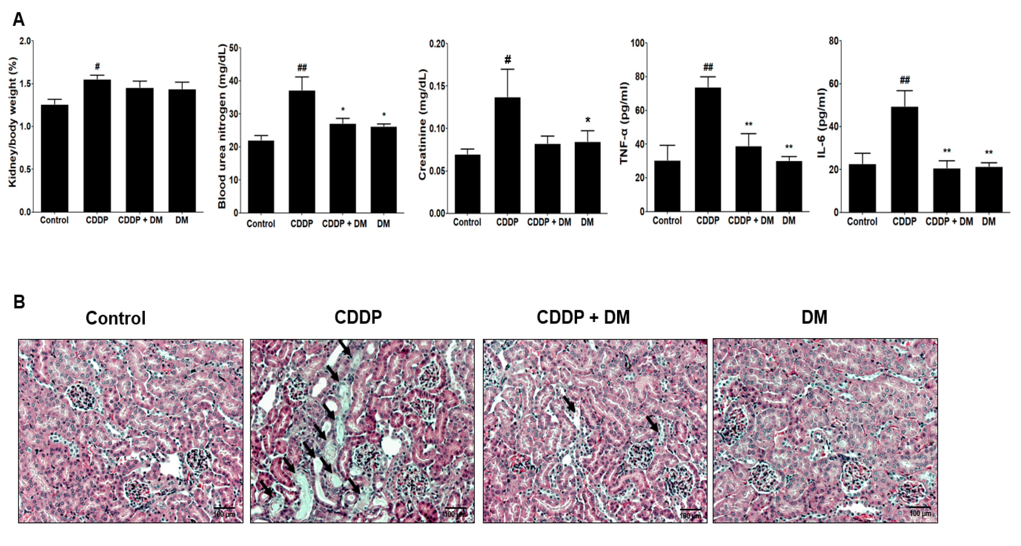 Antioxidants 08 00256 g009