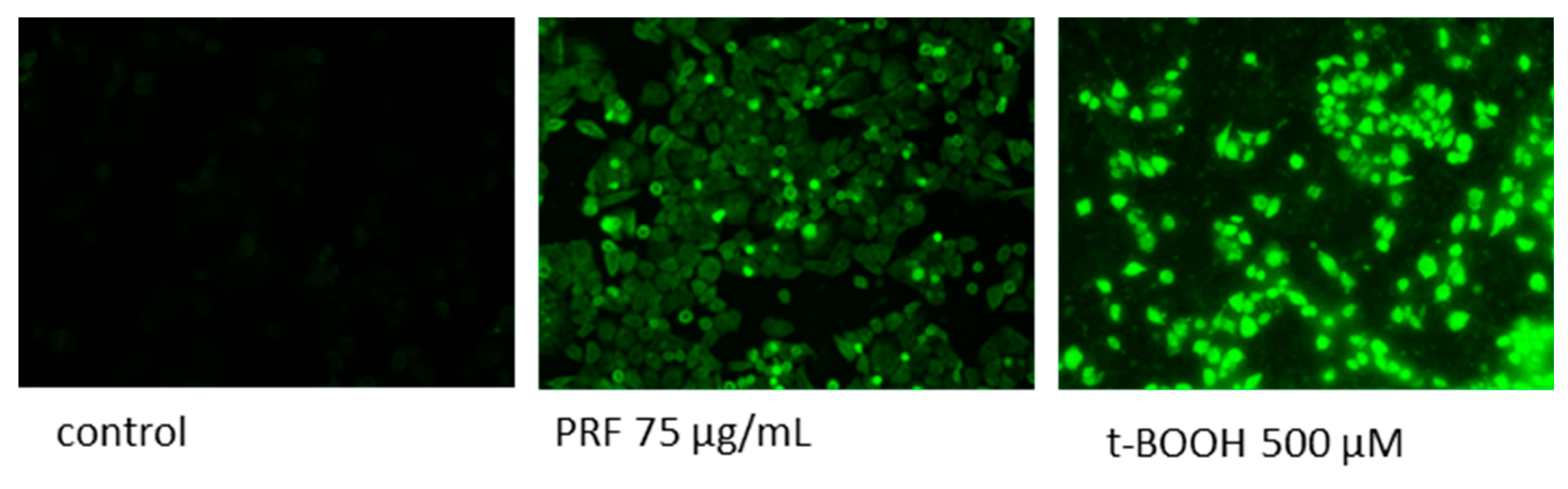 Antioxidants 08 00262 g007