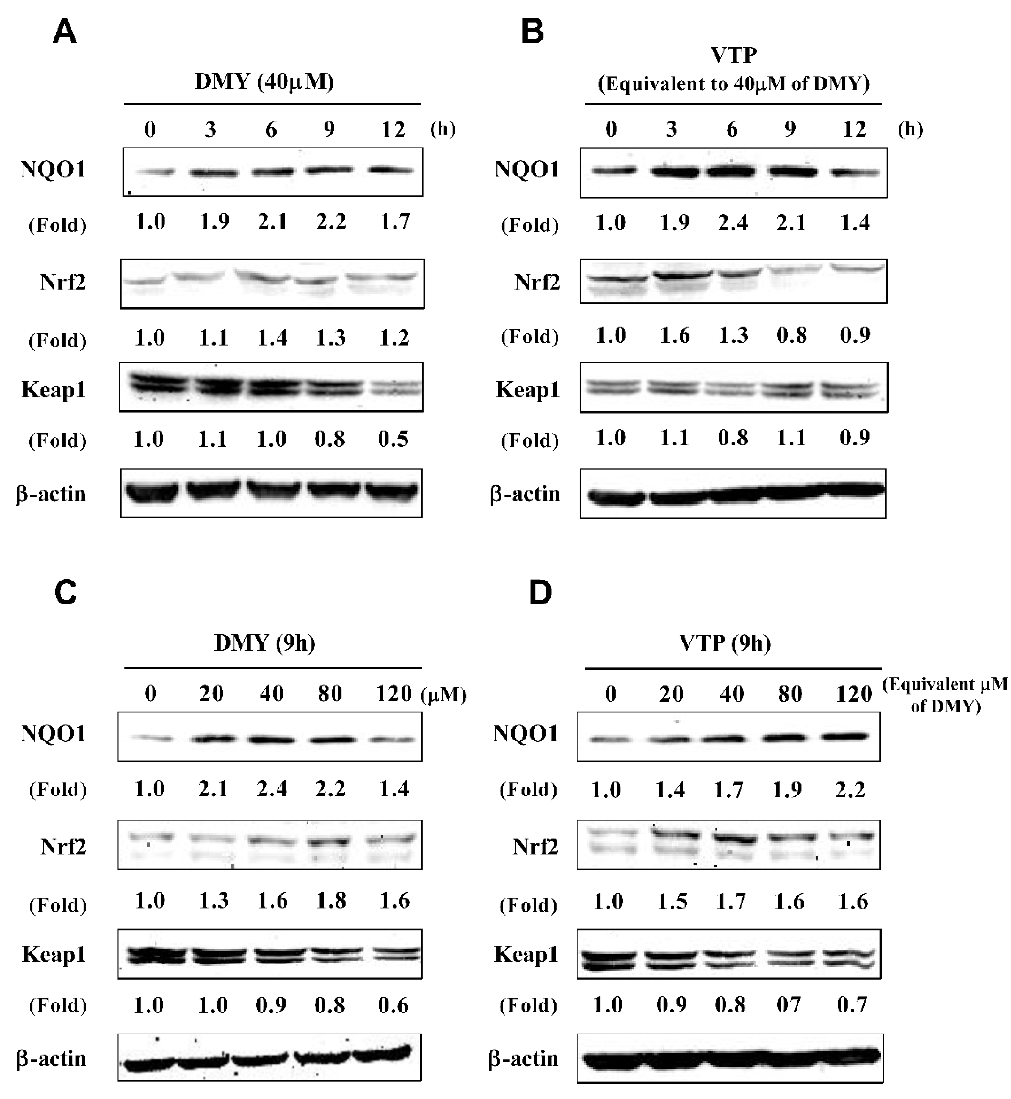 Antioxidants 08 00295 g005