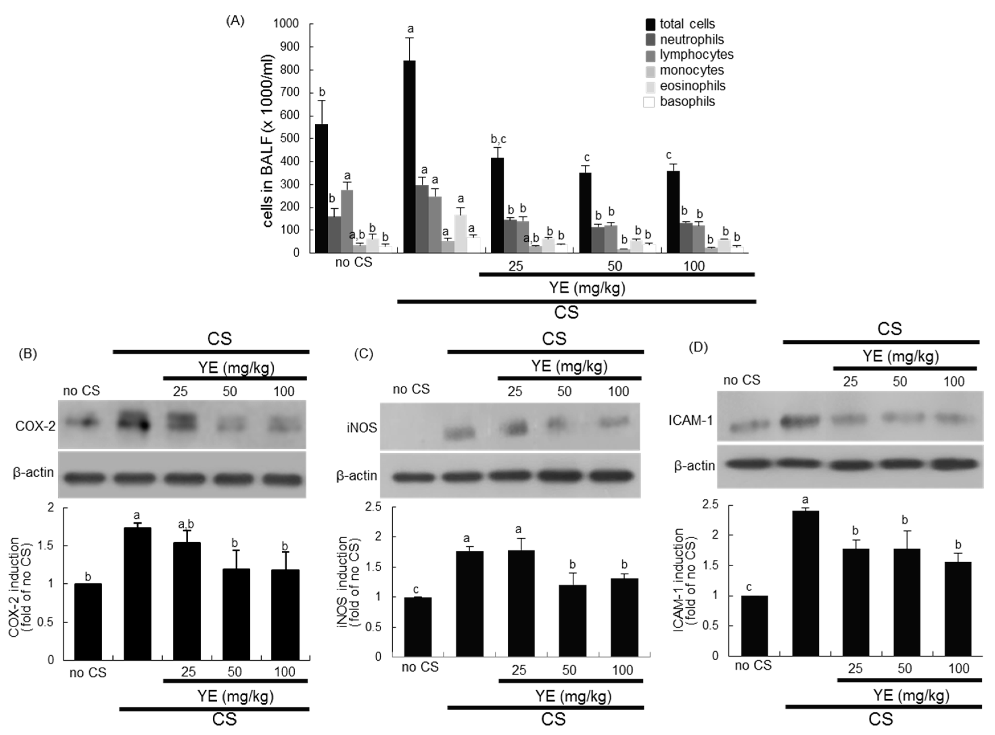 Antioxidants 08 00349 g001 Antioxidants 08 00349 g001