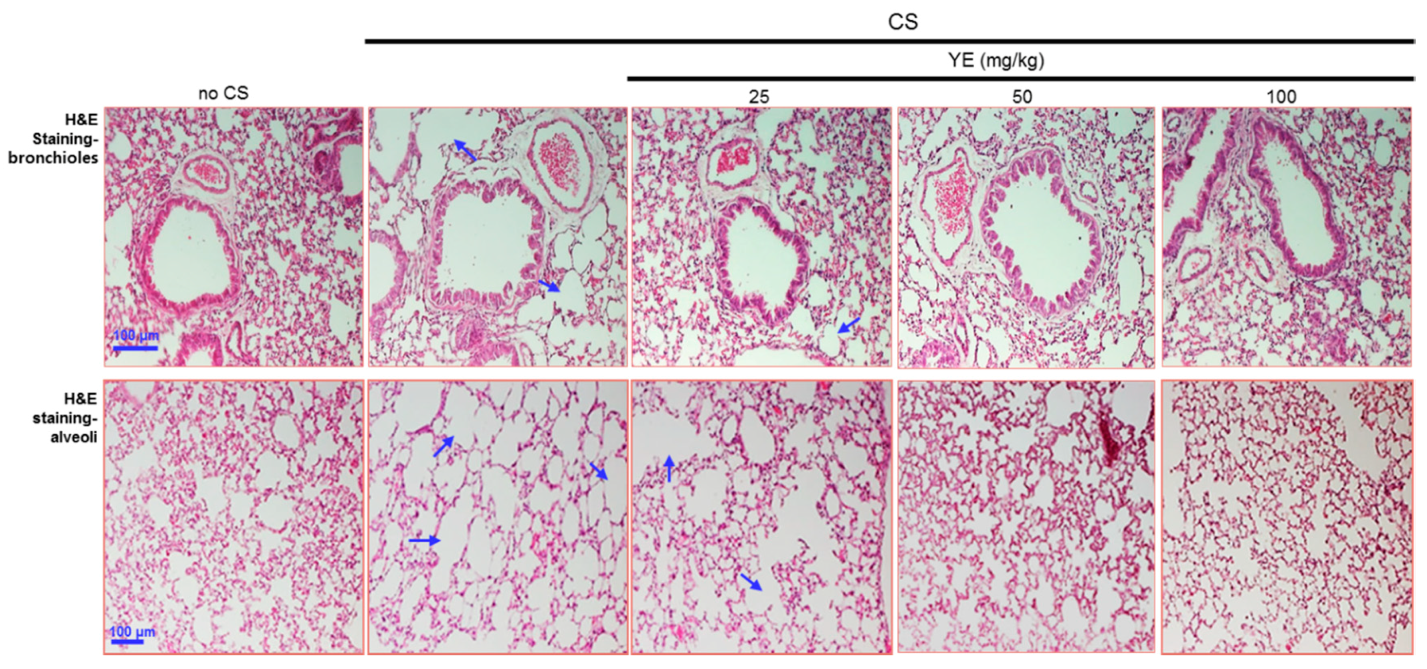 Antioxidants 08 00349 g002 Antioxidants 08 00349 g002