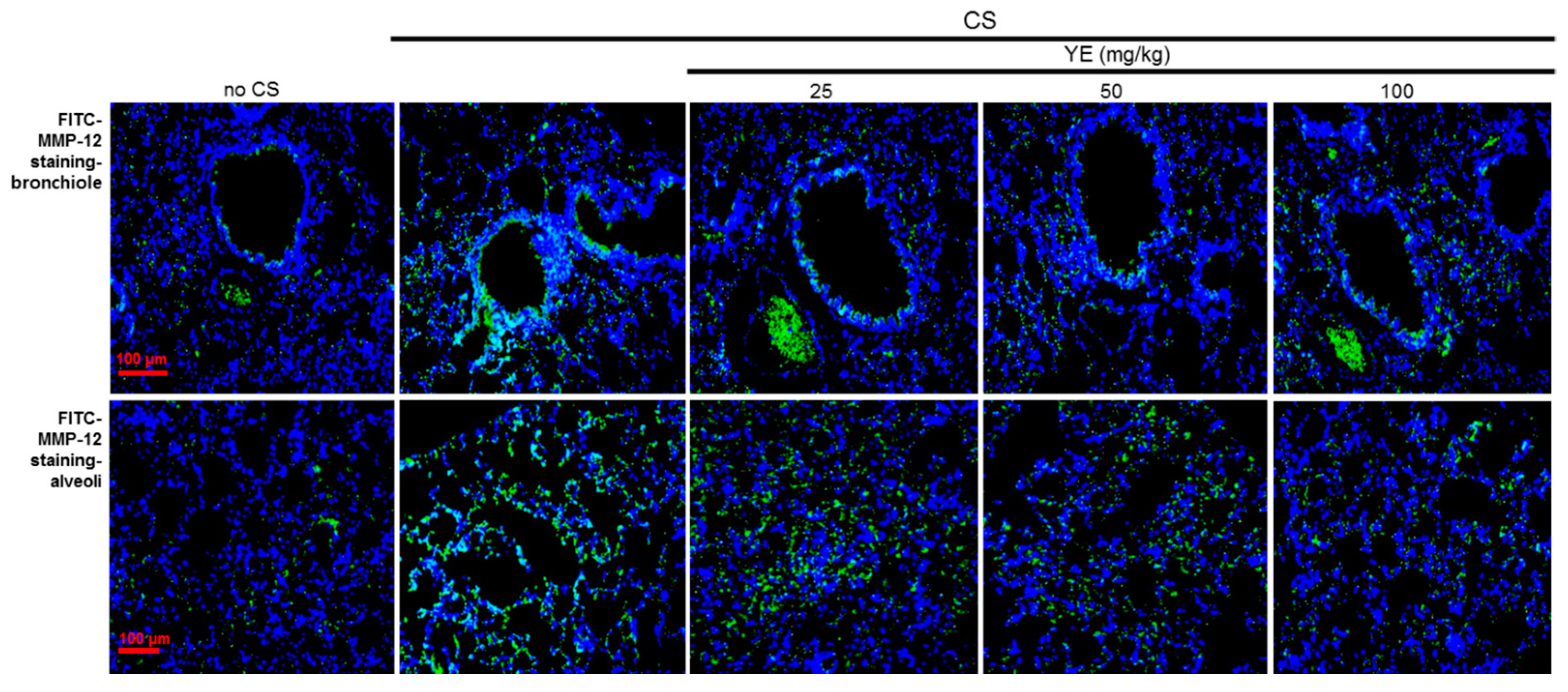Antioxidants 08 00349 g003 Antioxidants 08 00349 g003