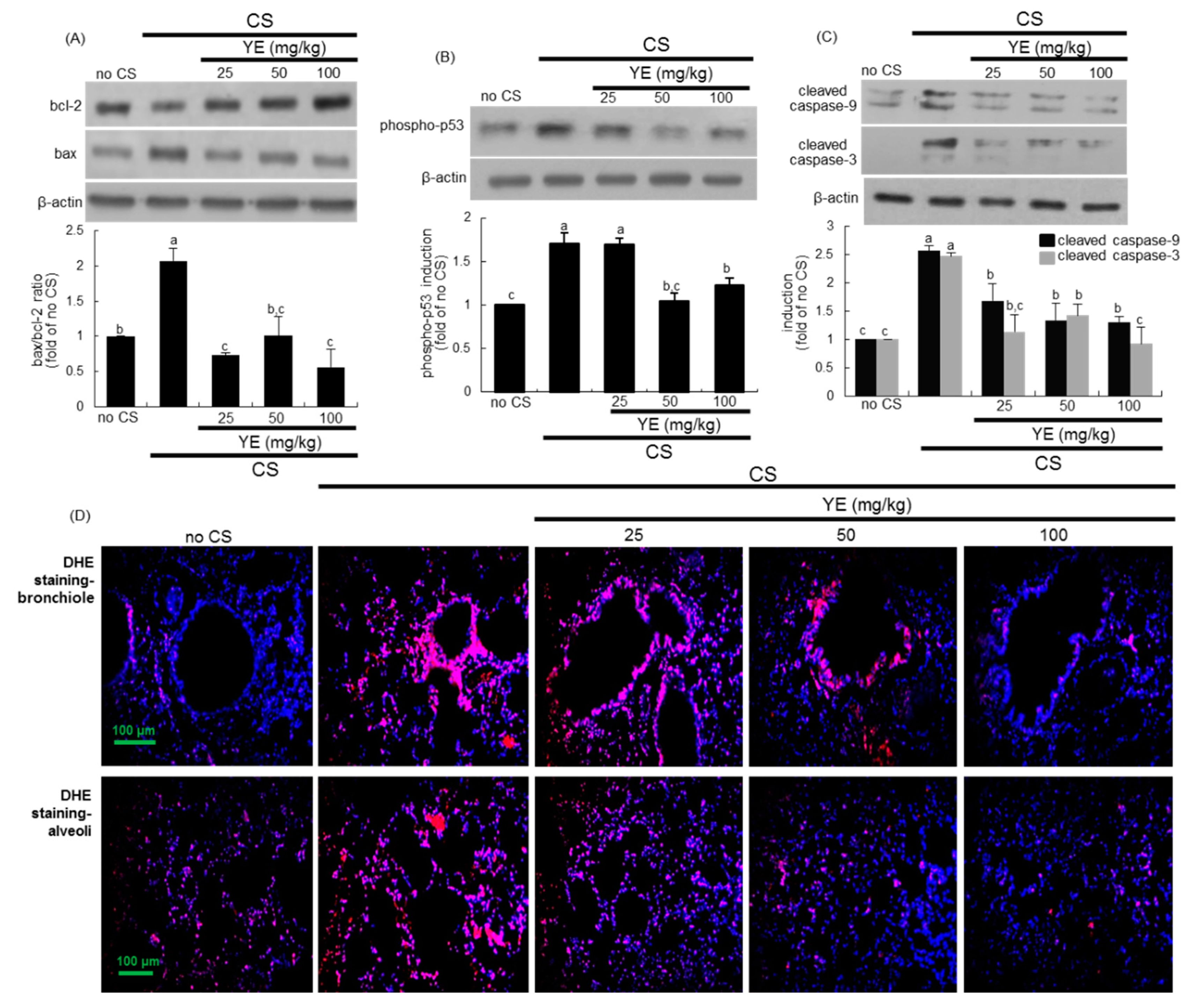 Antioxidants 08 00349 g004 Antioxidants 08 00349 g004