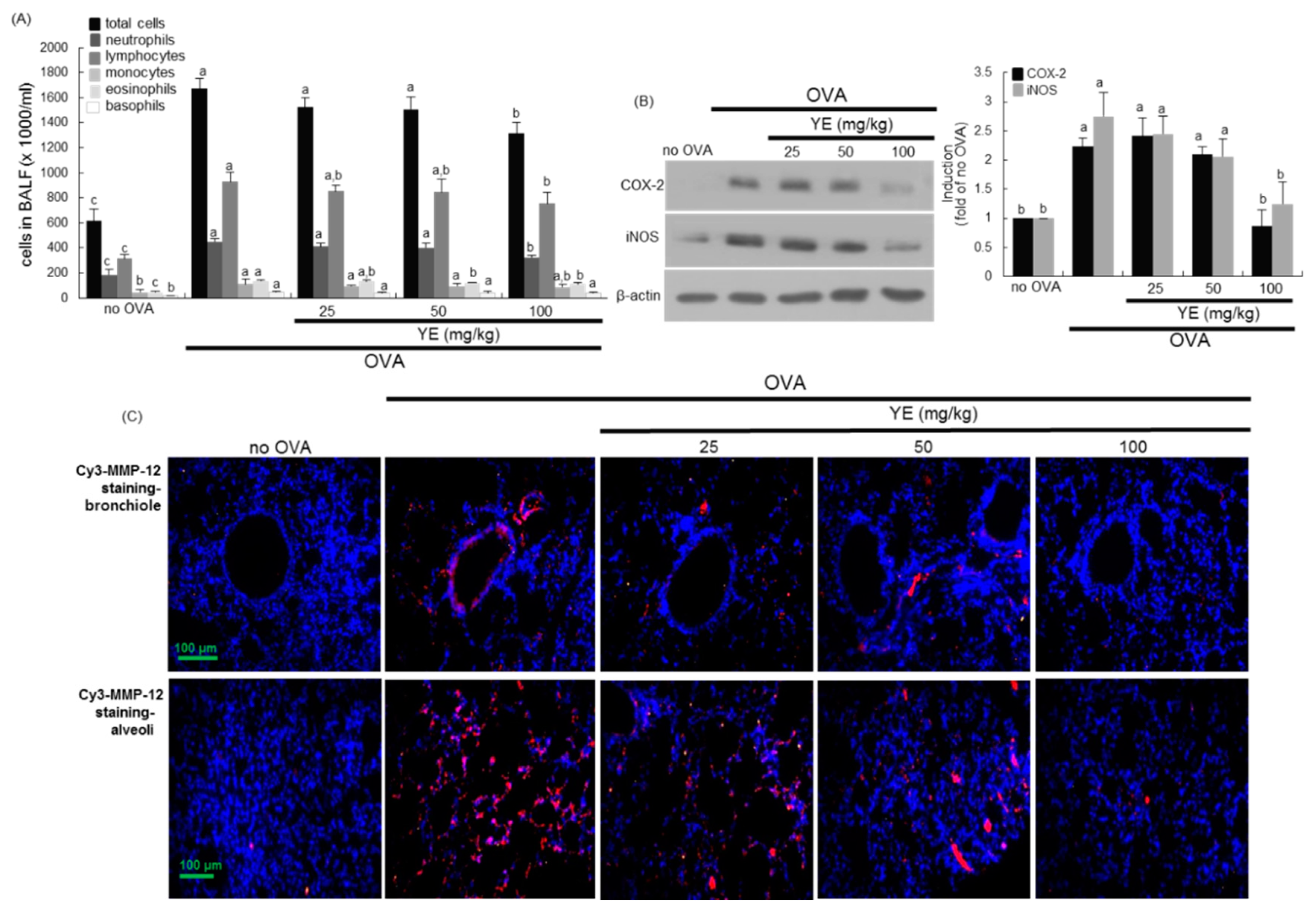 Antioxidants 08 00349 g006 Antioxidants 08 00349 g006