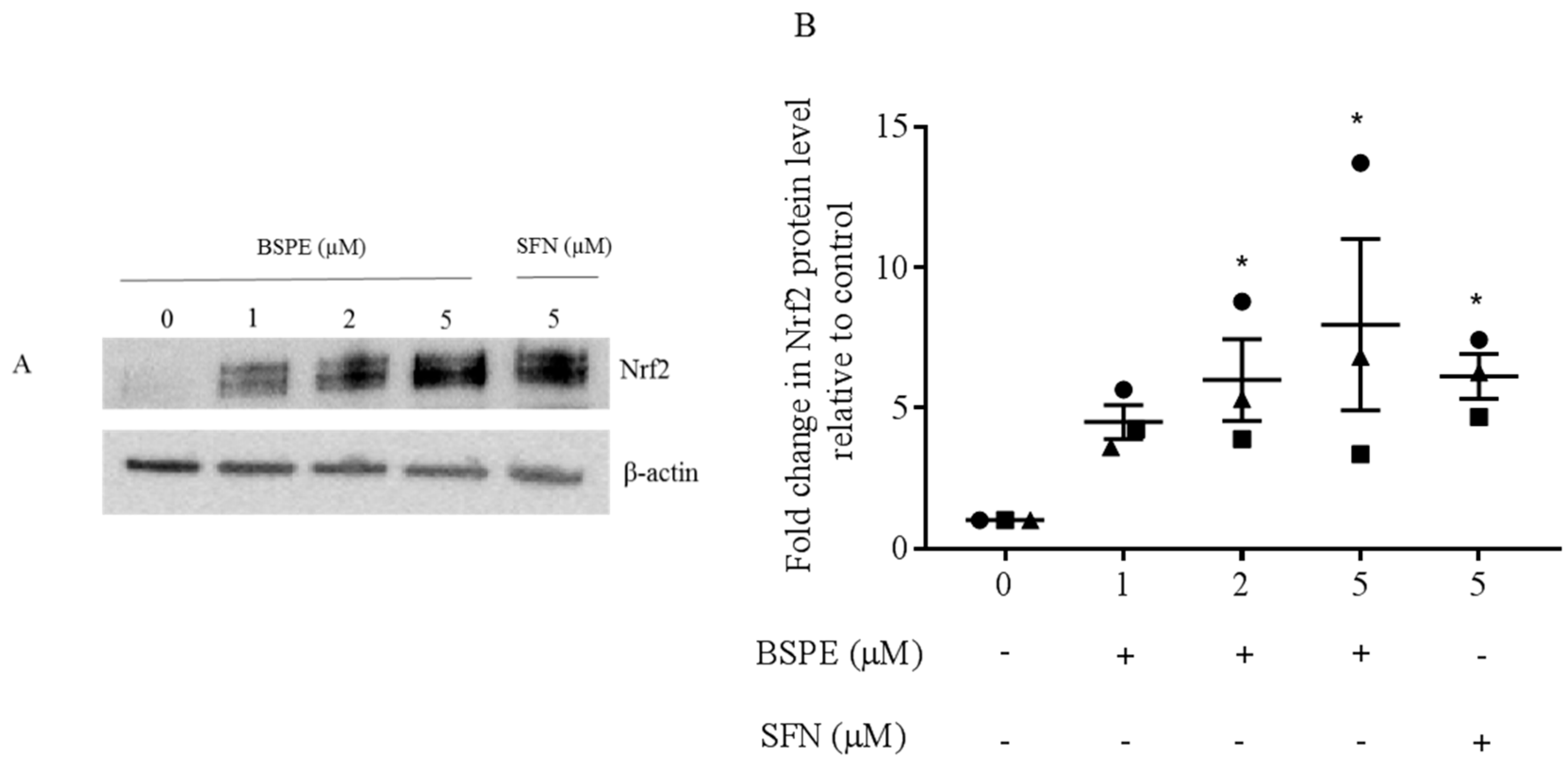 Antioxidants 08 00359 g001 Antioxidants 08 00359 g001
