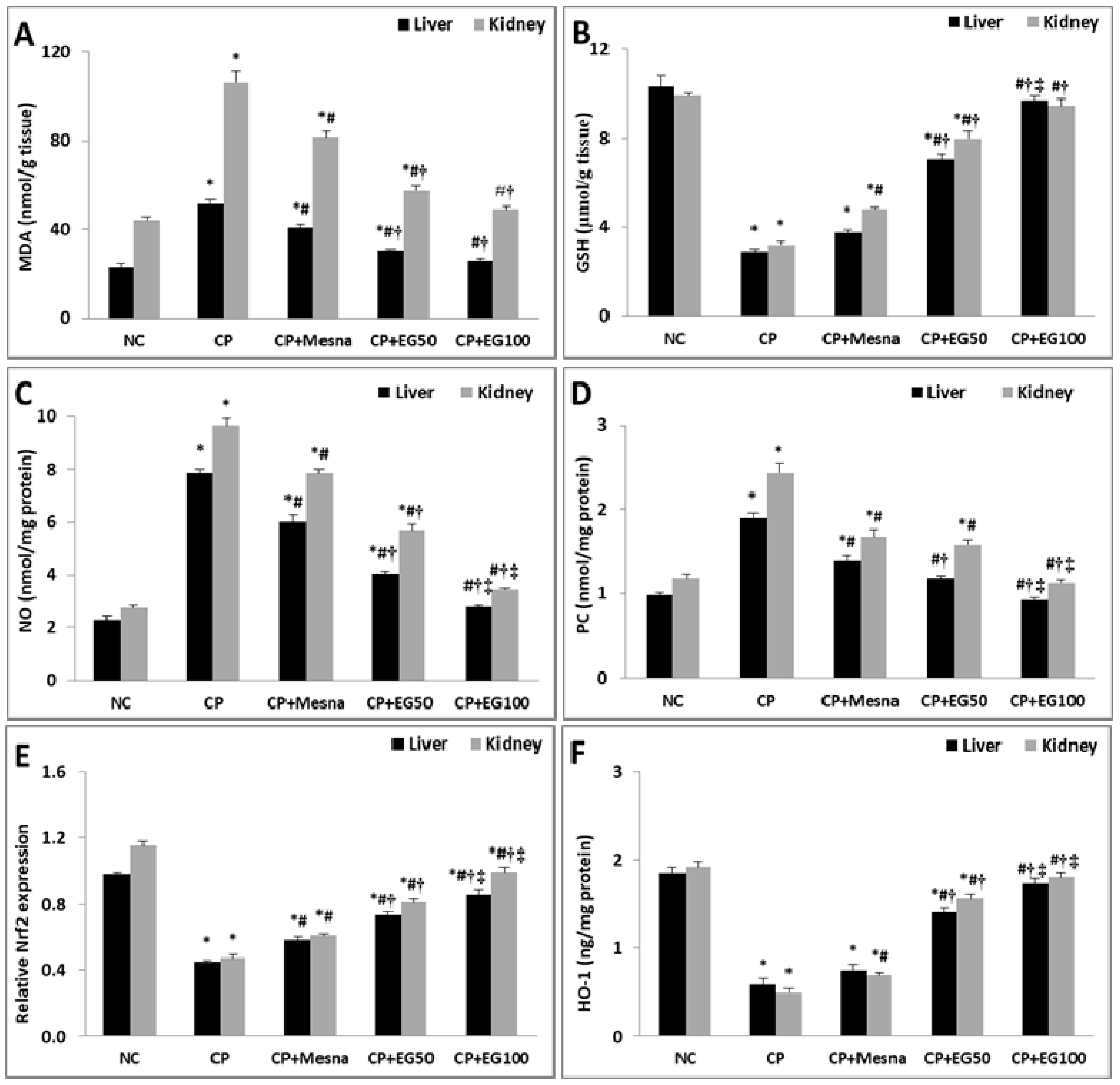 Antioxidants 08 00415 g004