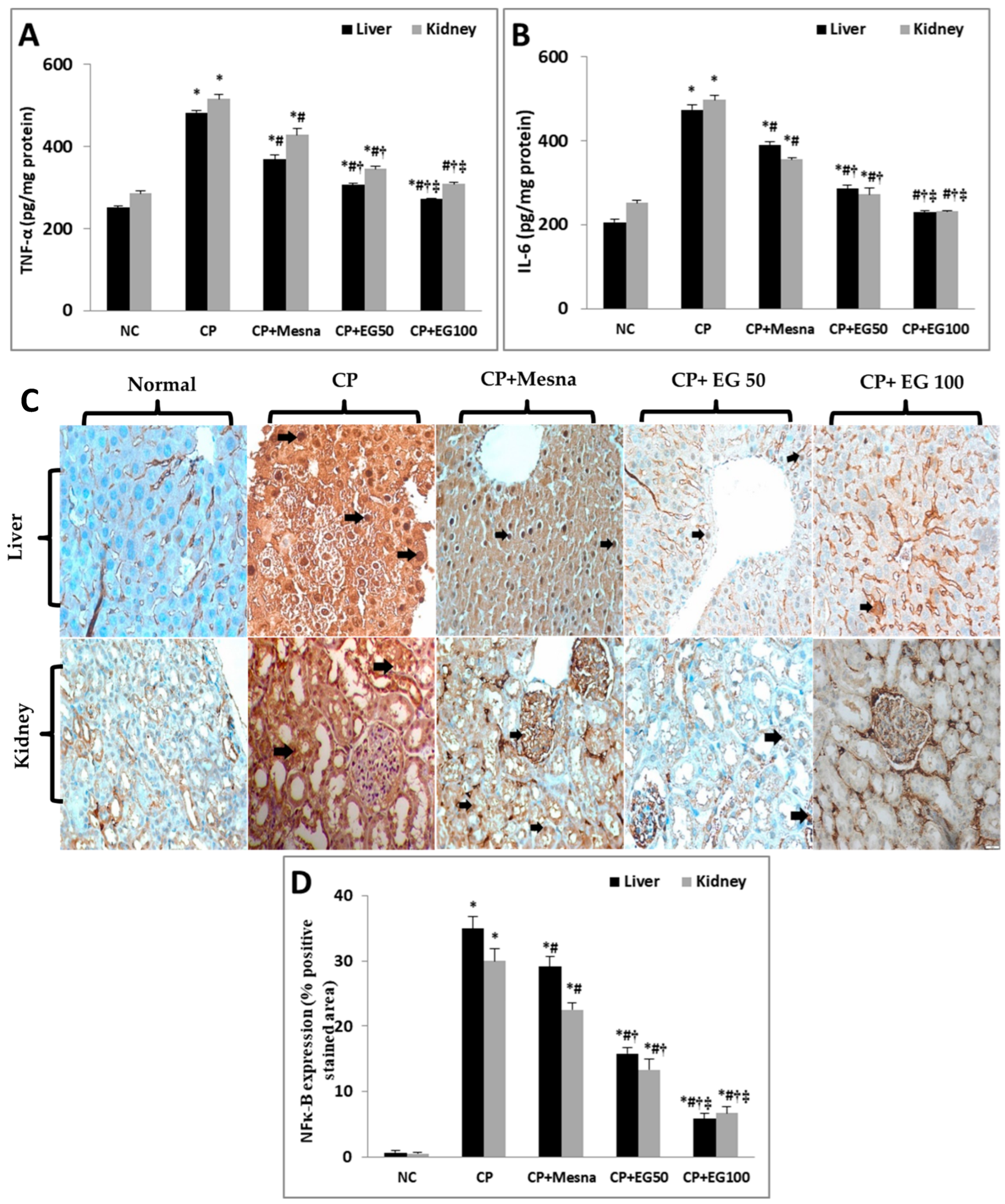 Antioxidants 08 00415 g005
