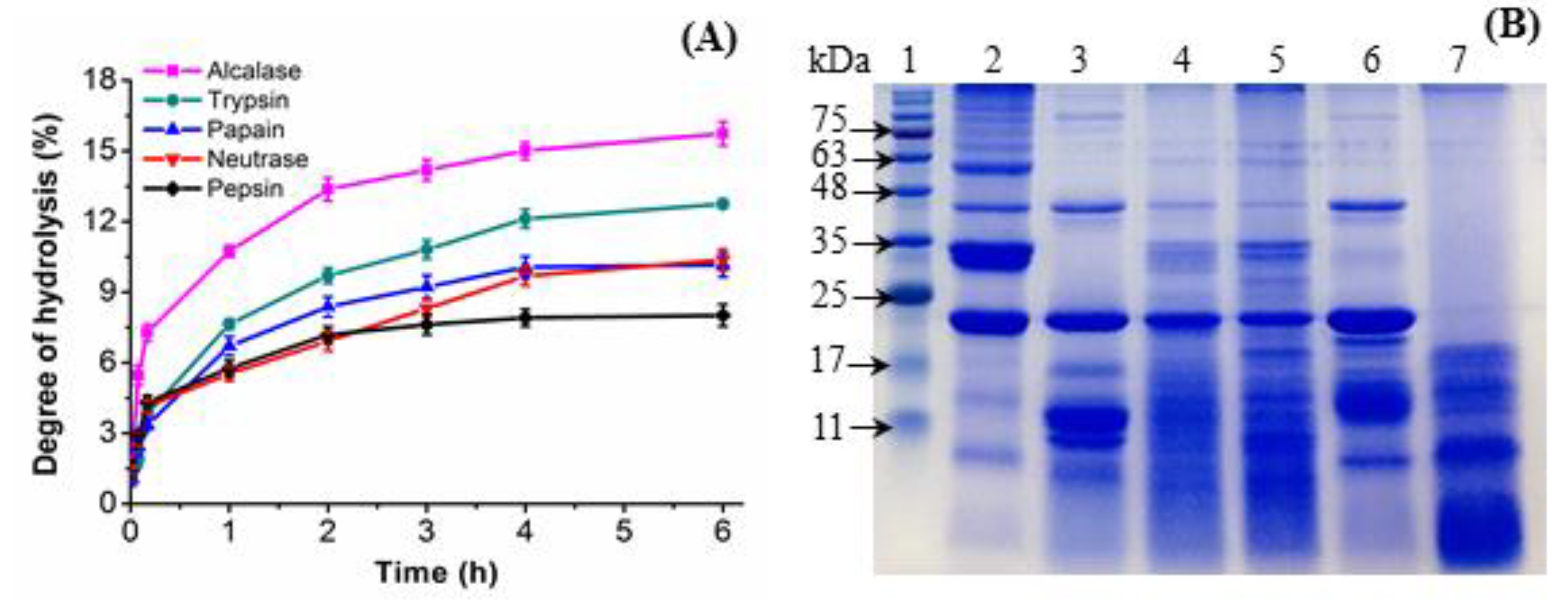 Antioxidants 08 00433 g001