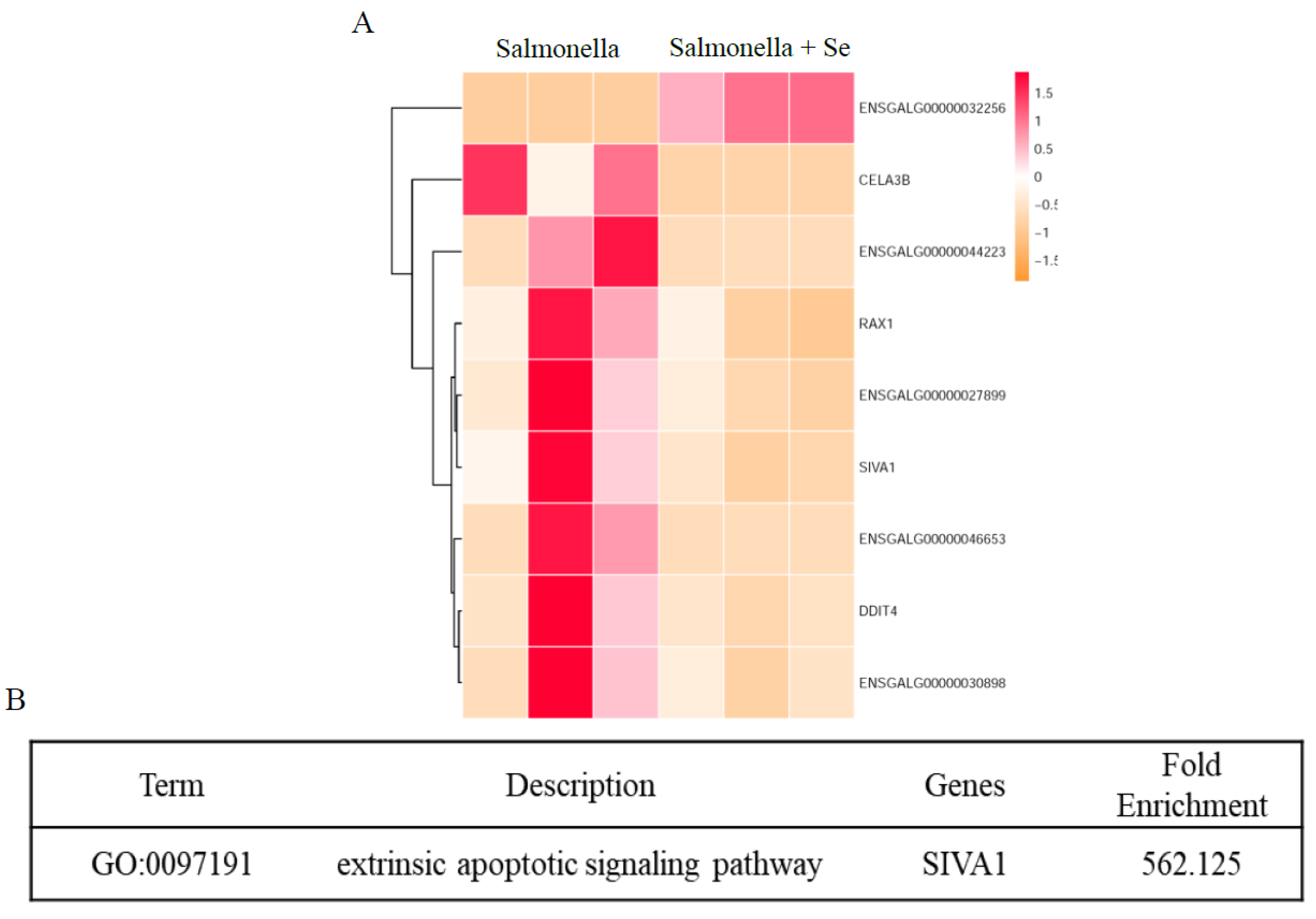 Antioxidants 08 00532 g004