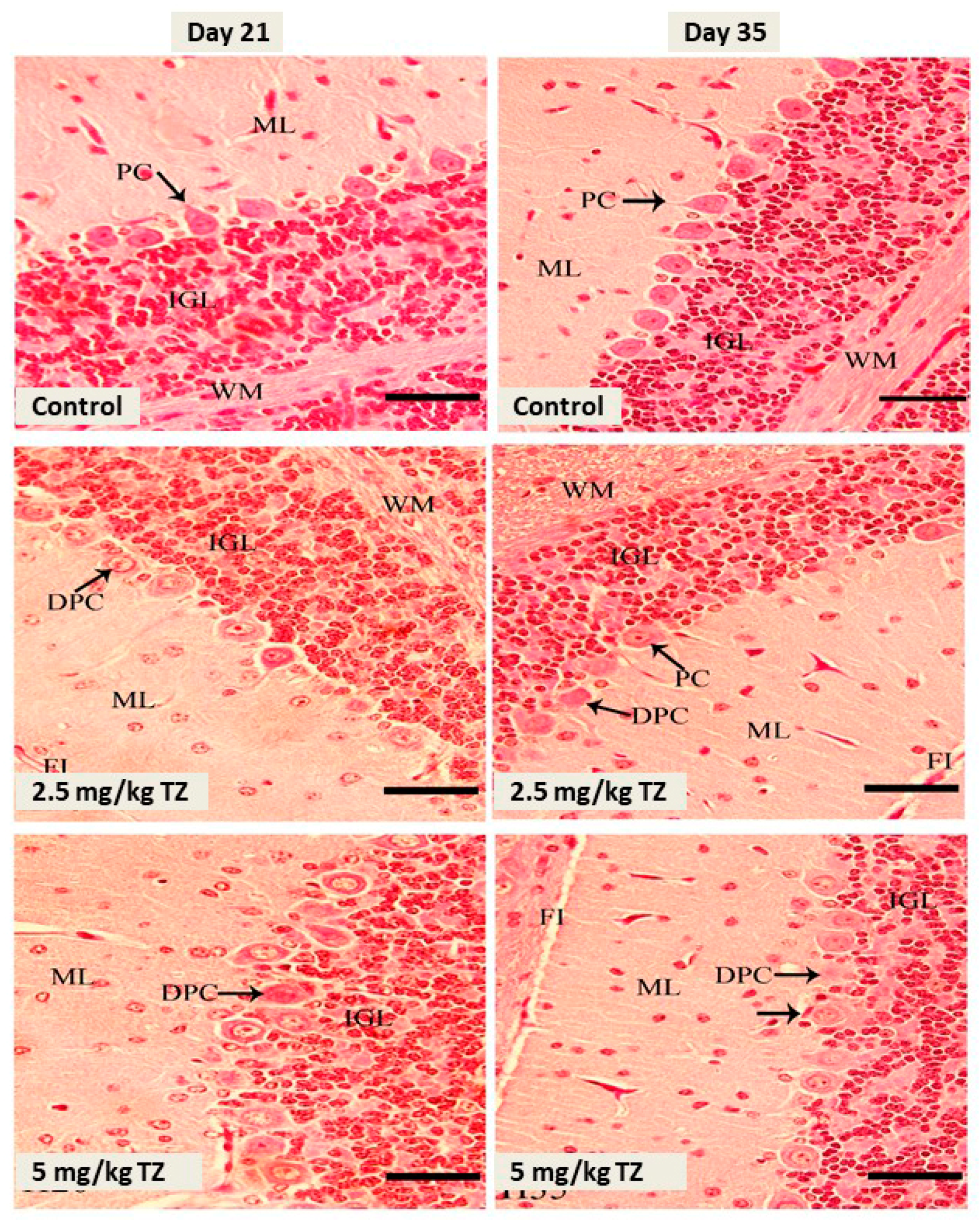 Antioxidants 09 00053 g002 Antioxidants 09 00053 g002