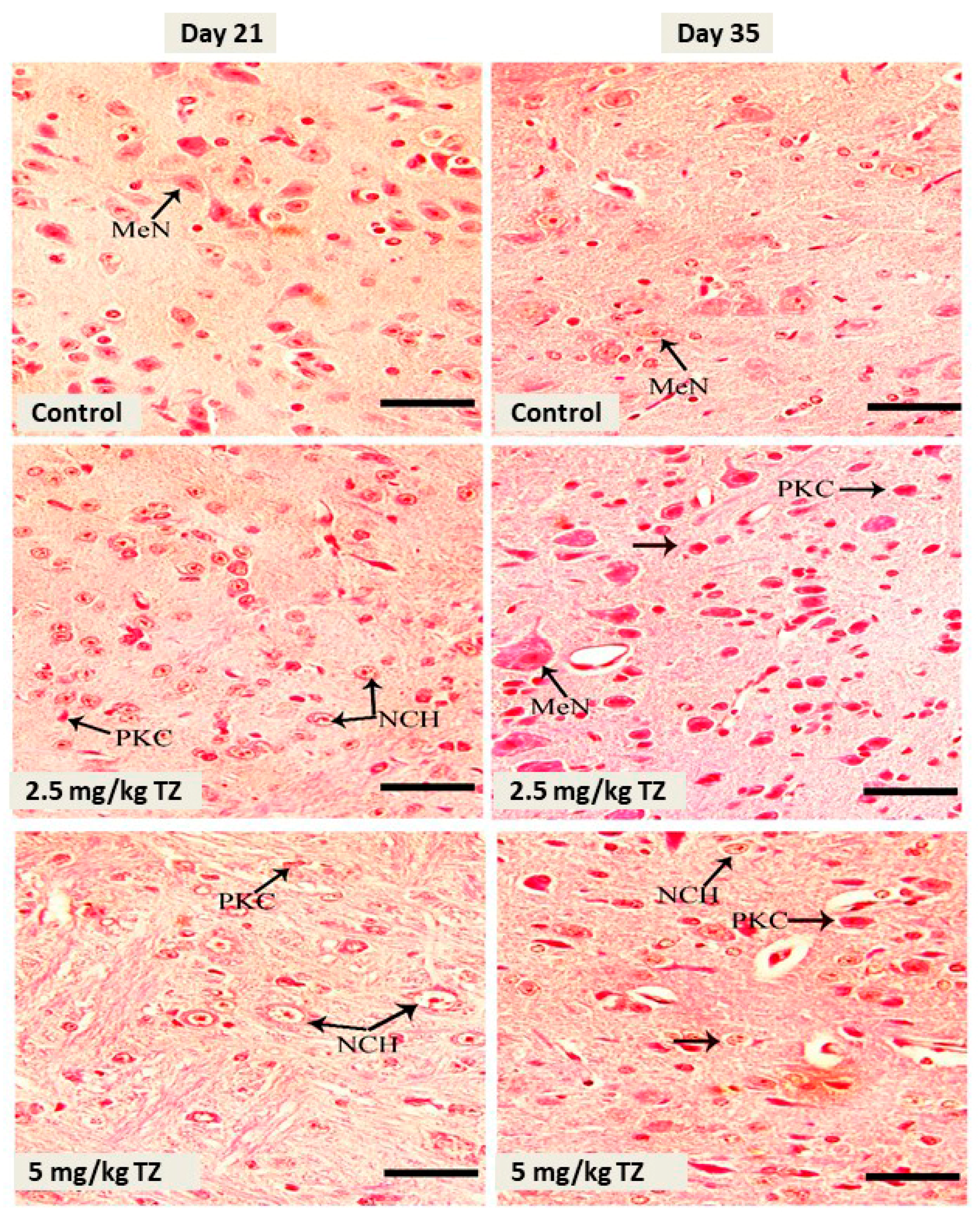 Antioxidants 09 00053 g003 Antioxidants 09 00053 g003
