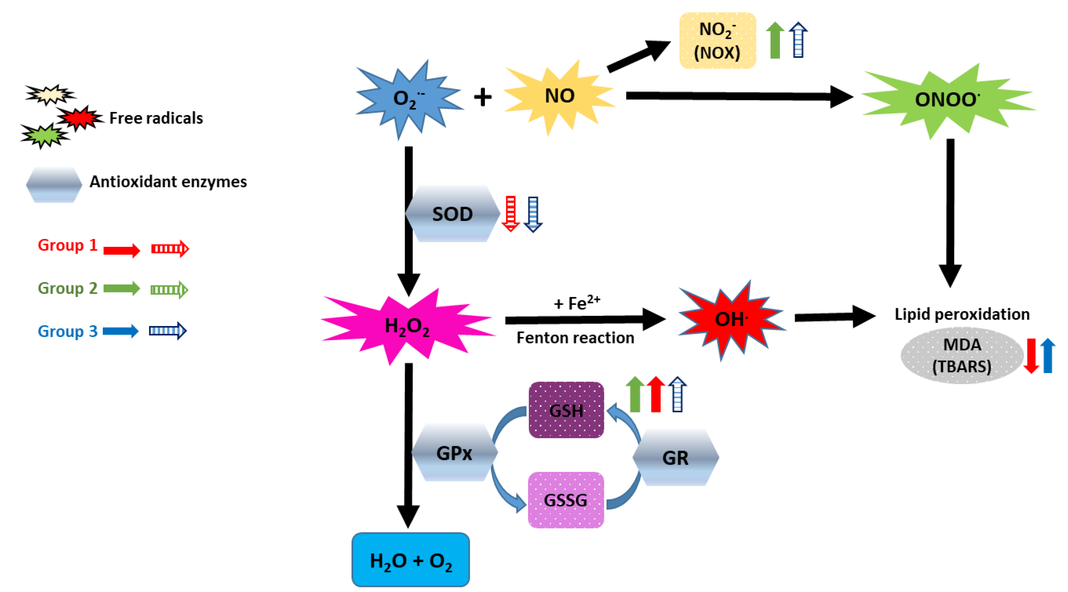 Antioxidants 09 00778 g004