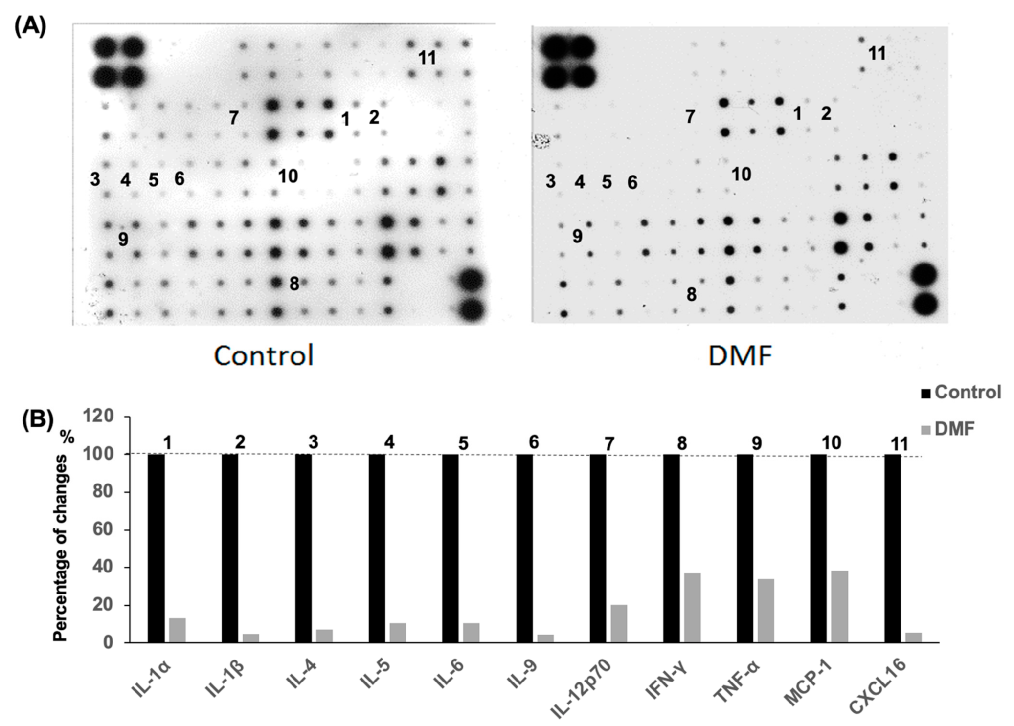 Antioxidants 10 00193 g005