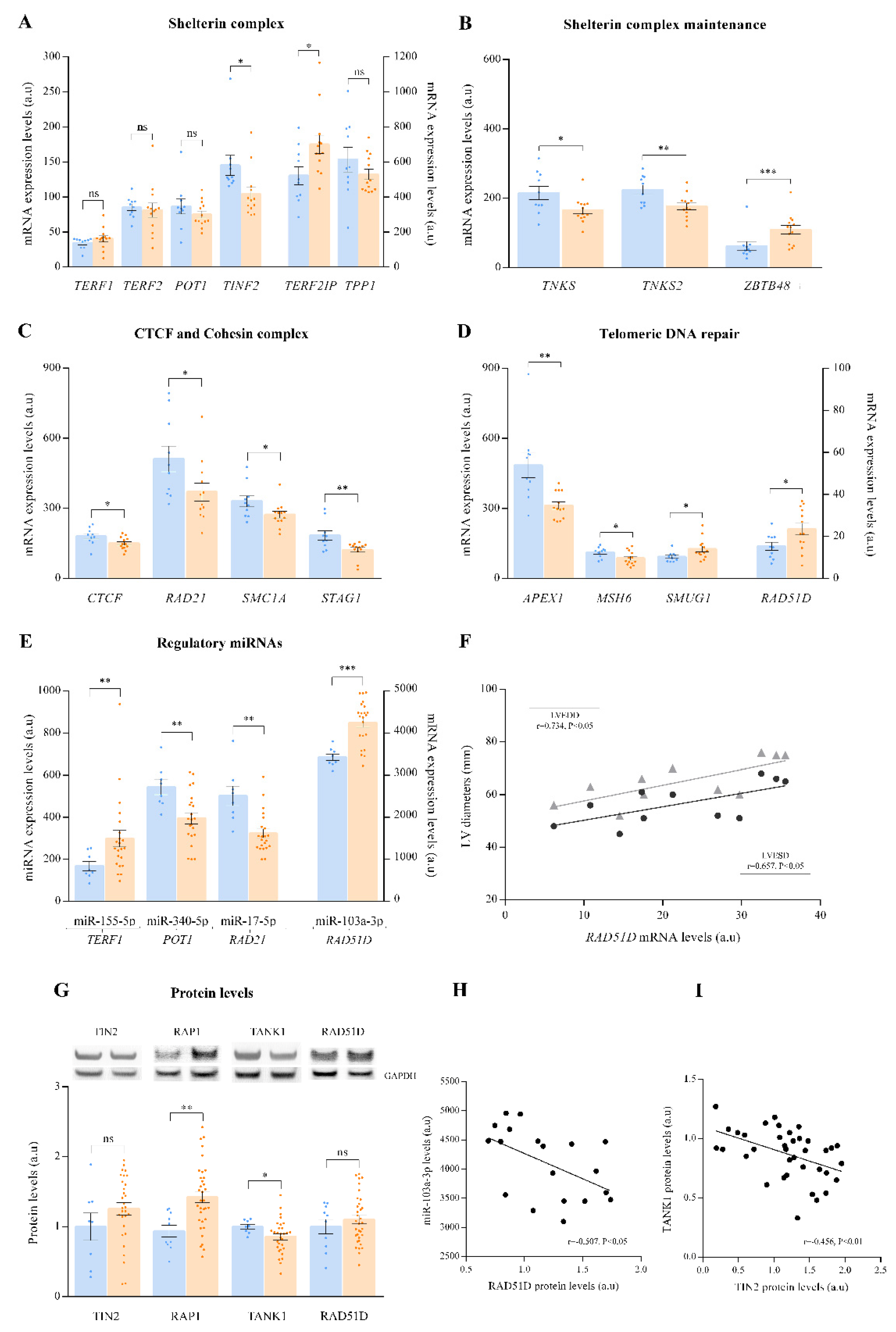 Antioxidants 10 01750 g001
