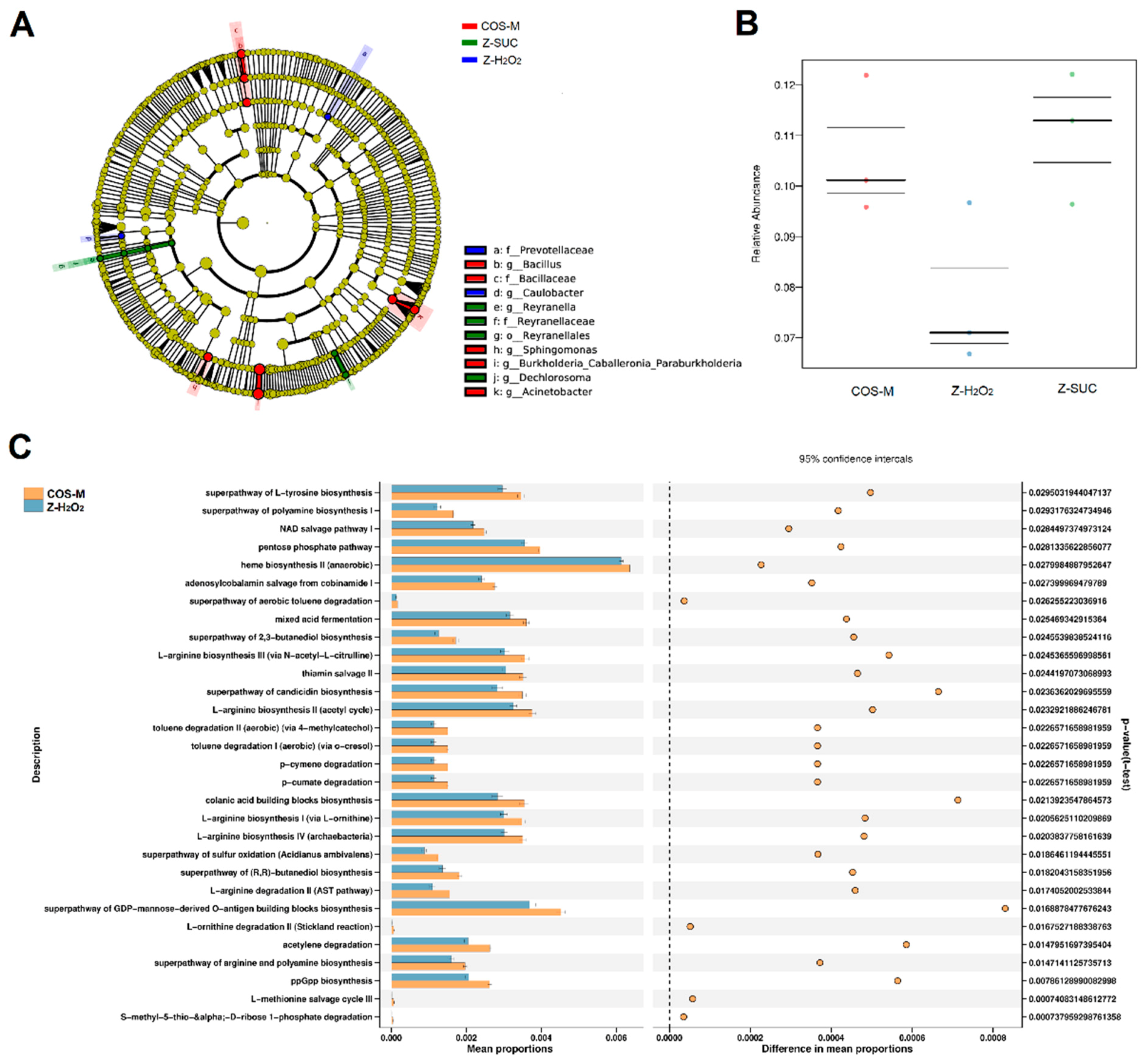 Antioxidants 10 01996 g009